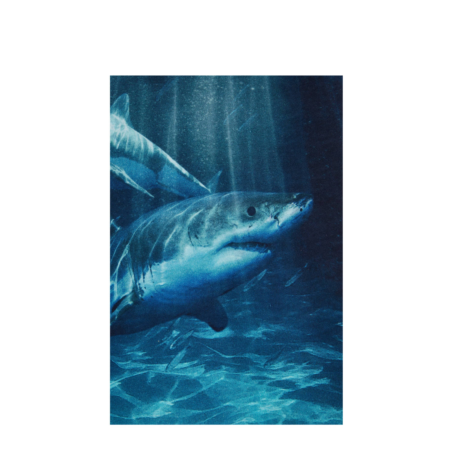 WE Fashion Blue Ridge T-shirt marineblauw