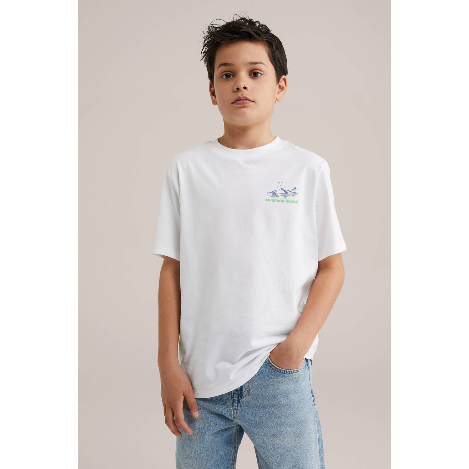 WE Fashion Blue Ridge T-shirt wit