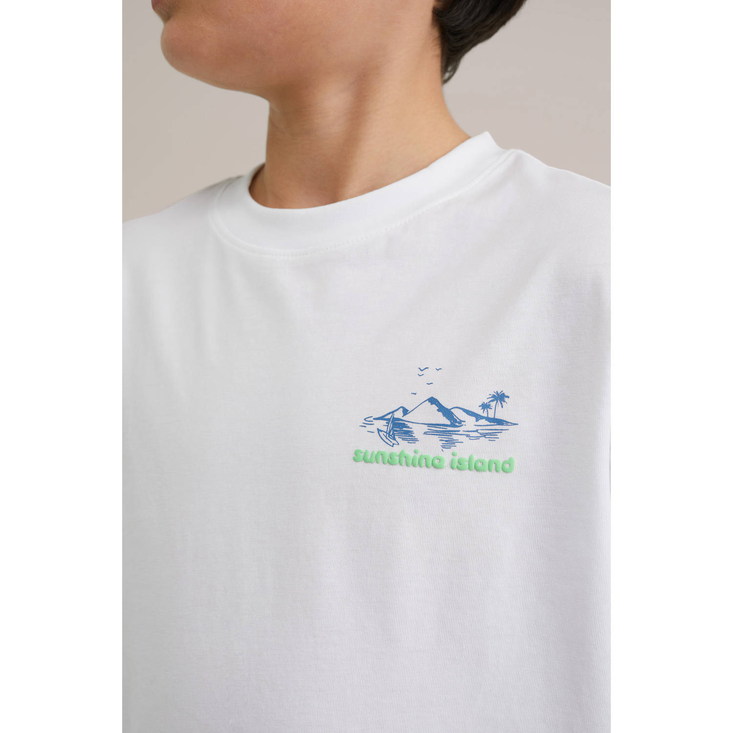 WE Fashion Blue Ridge T-shirt wit