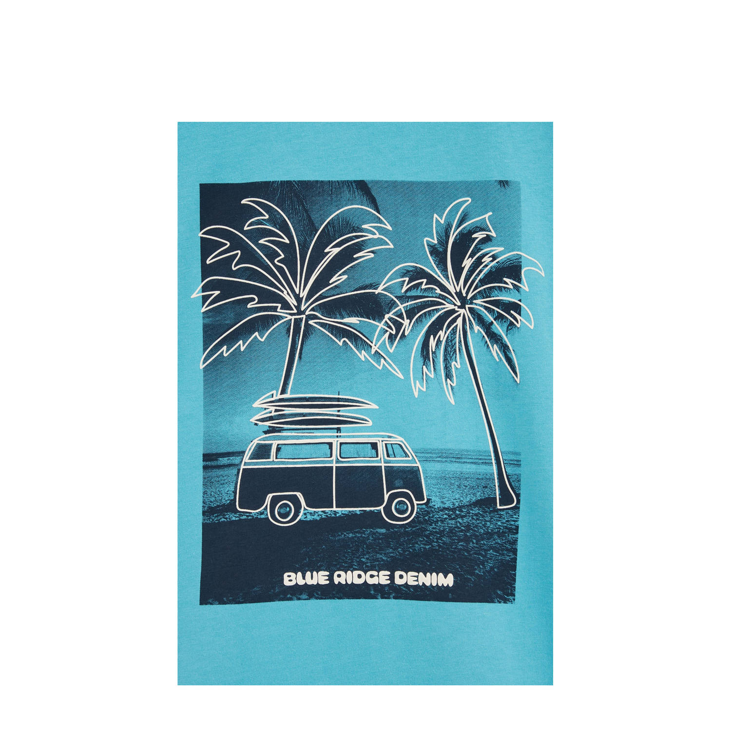 WE Fashion Blue Ridge T-shirt lichtblauw