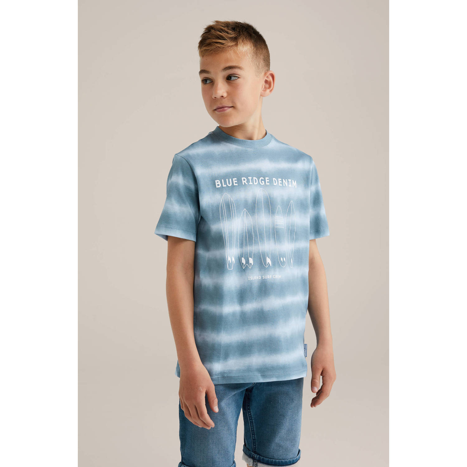 WE Fashion Blue Ridge T-shirt blauw lichtblauw