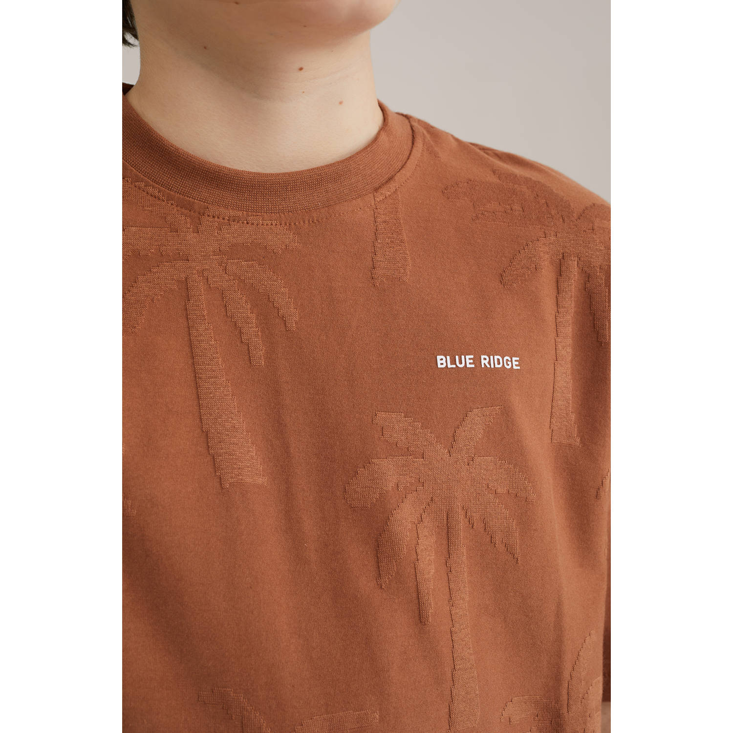 WE Fashion Blue Ridge T-shirt roodbruin
