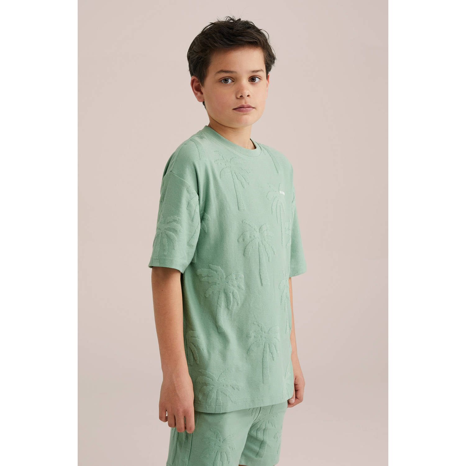 WE Fashion Blue Ridge T-shirt mintgroen