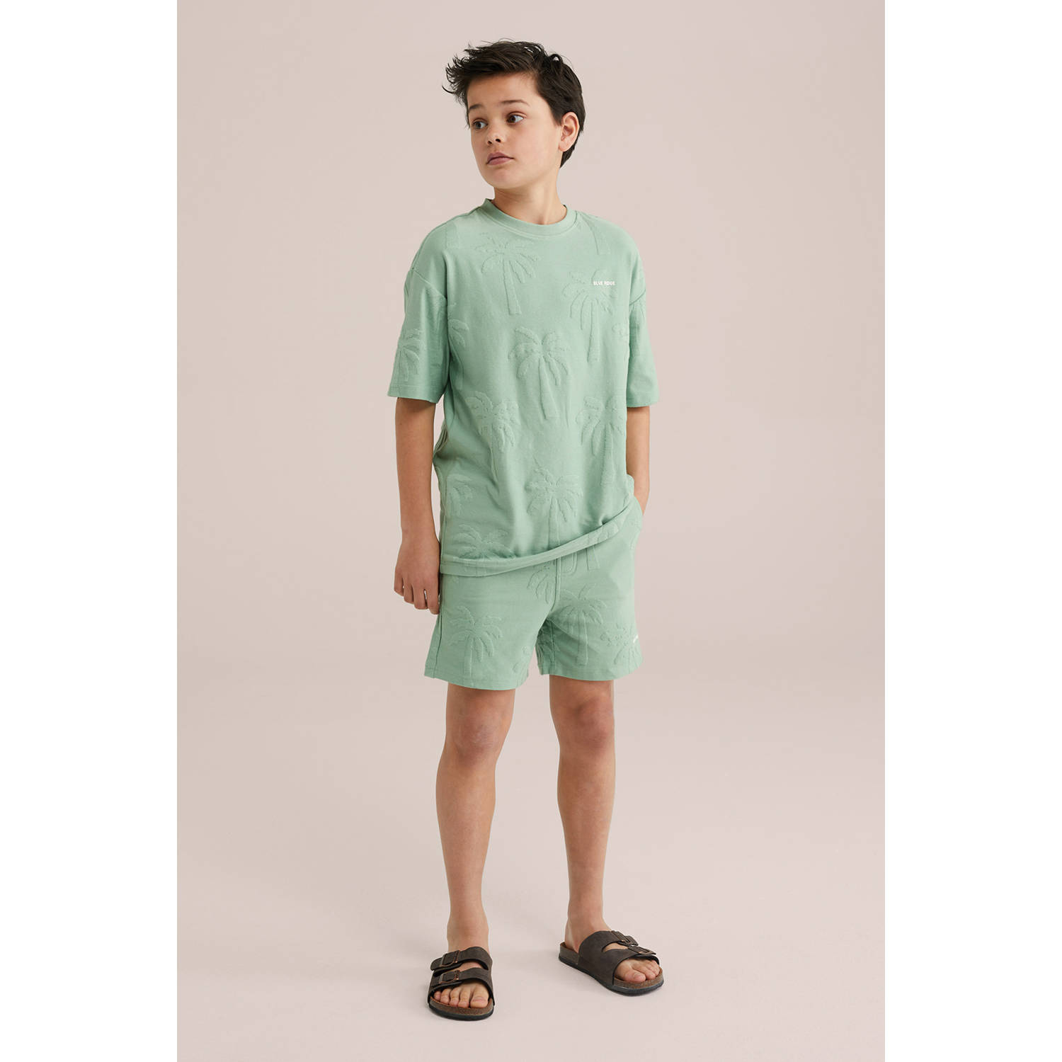 WE Fashion Blue Ridge T-shirt mintgroen