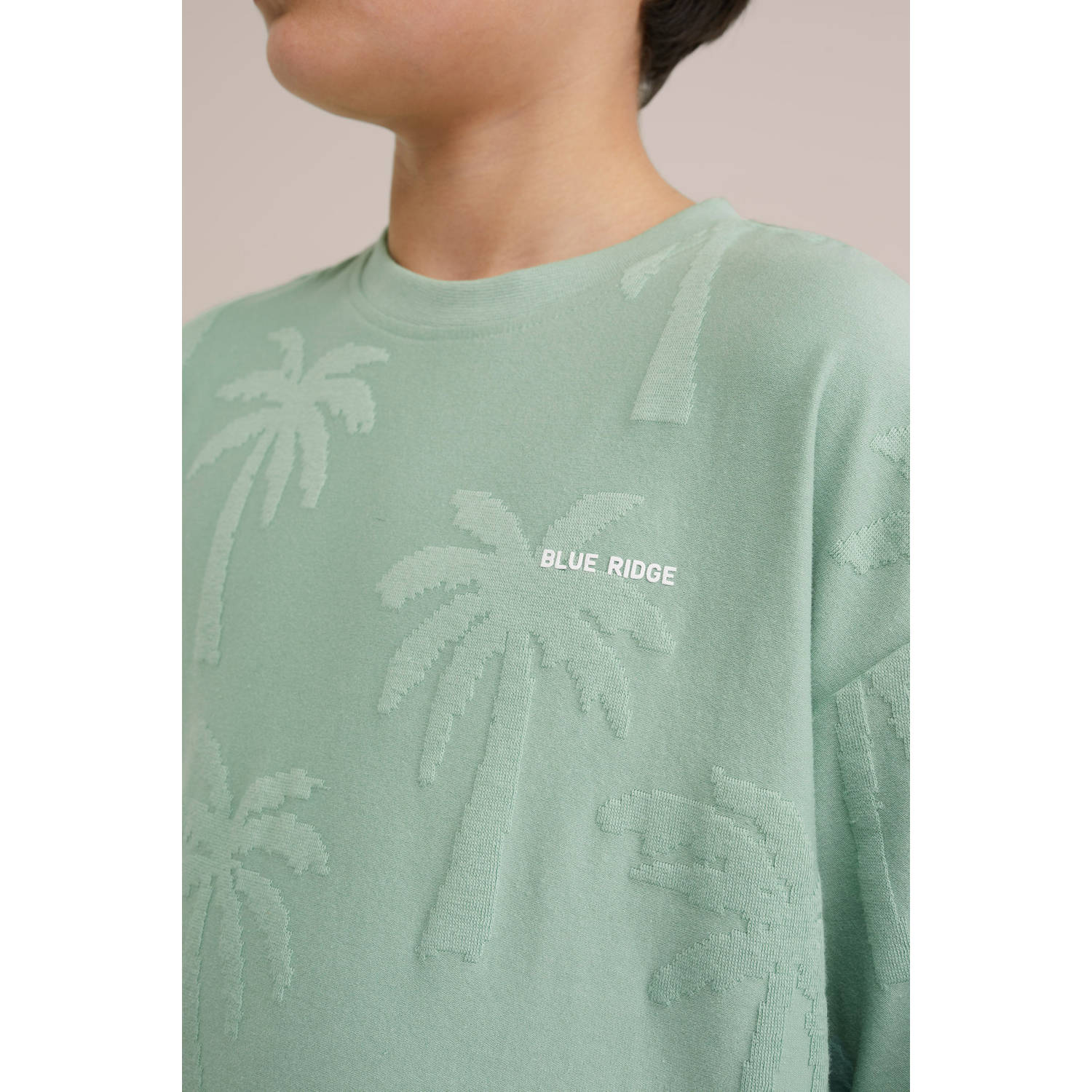 WE Fashion Blue Ridge T-shirt mintgroen