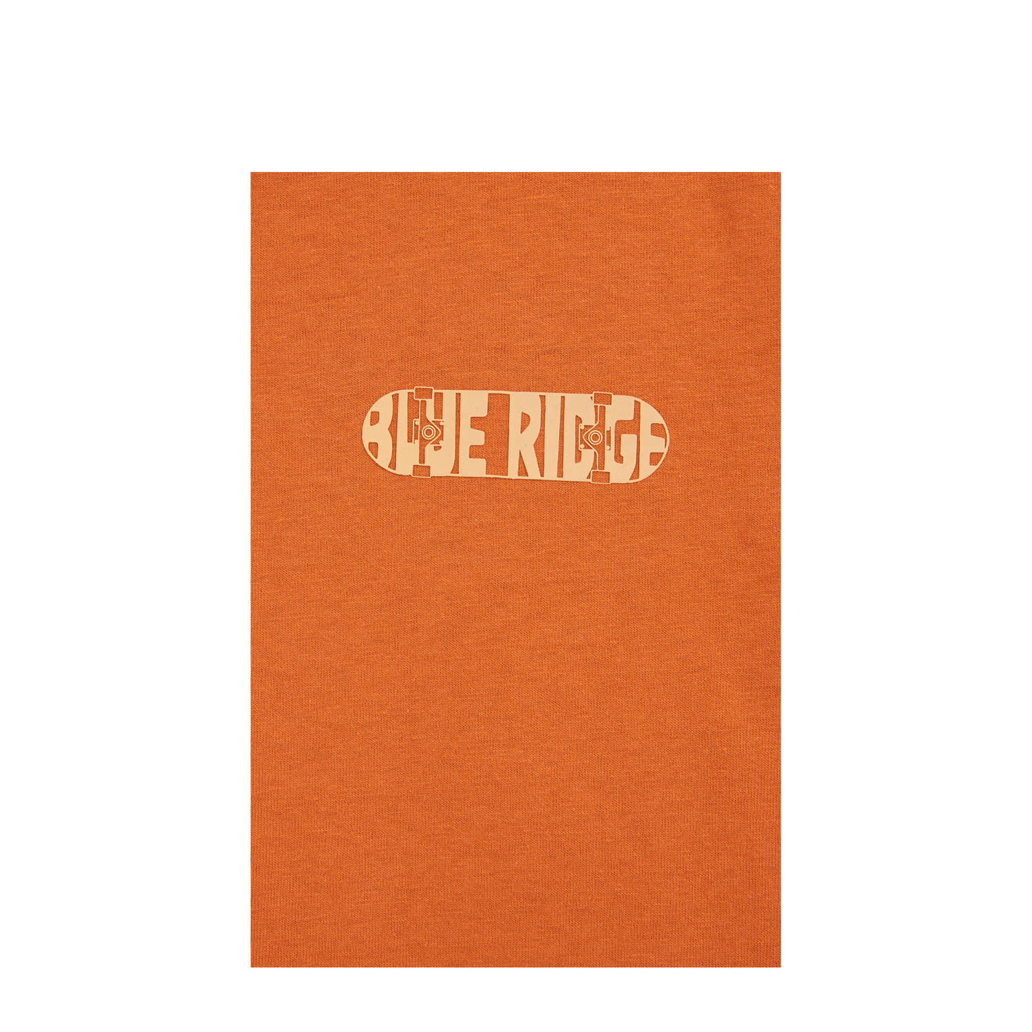 WE Fashion Blue Ridge T-shirt oranje