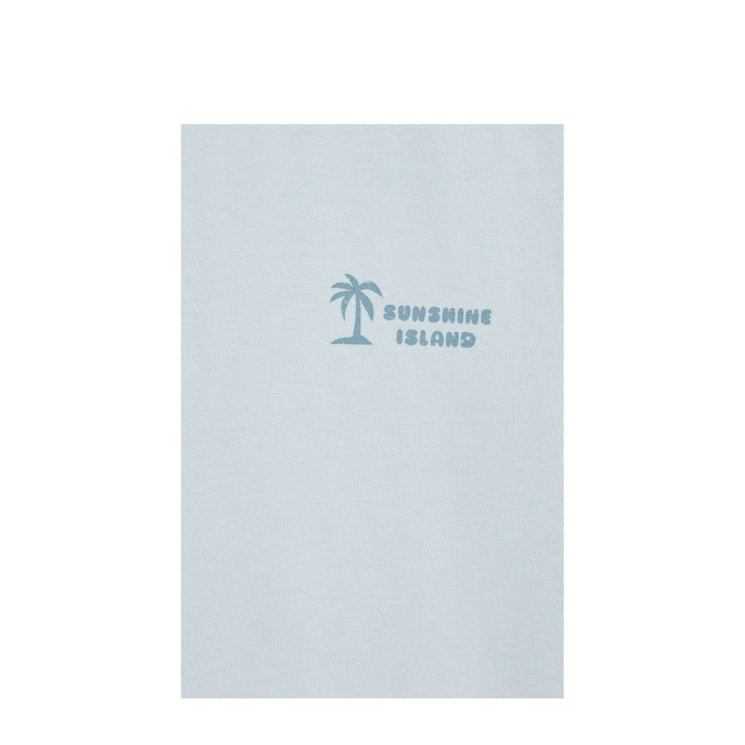 WE Fashion Blue Ridge T-shirt lichtblauw