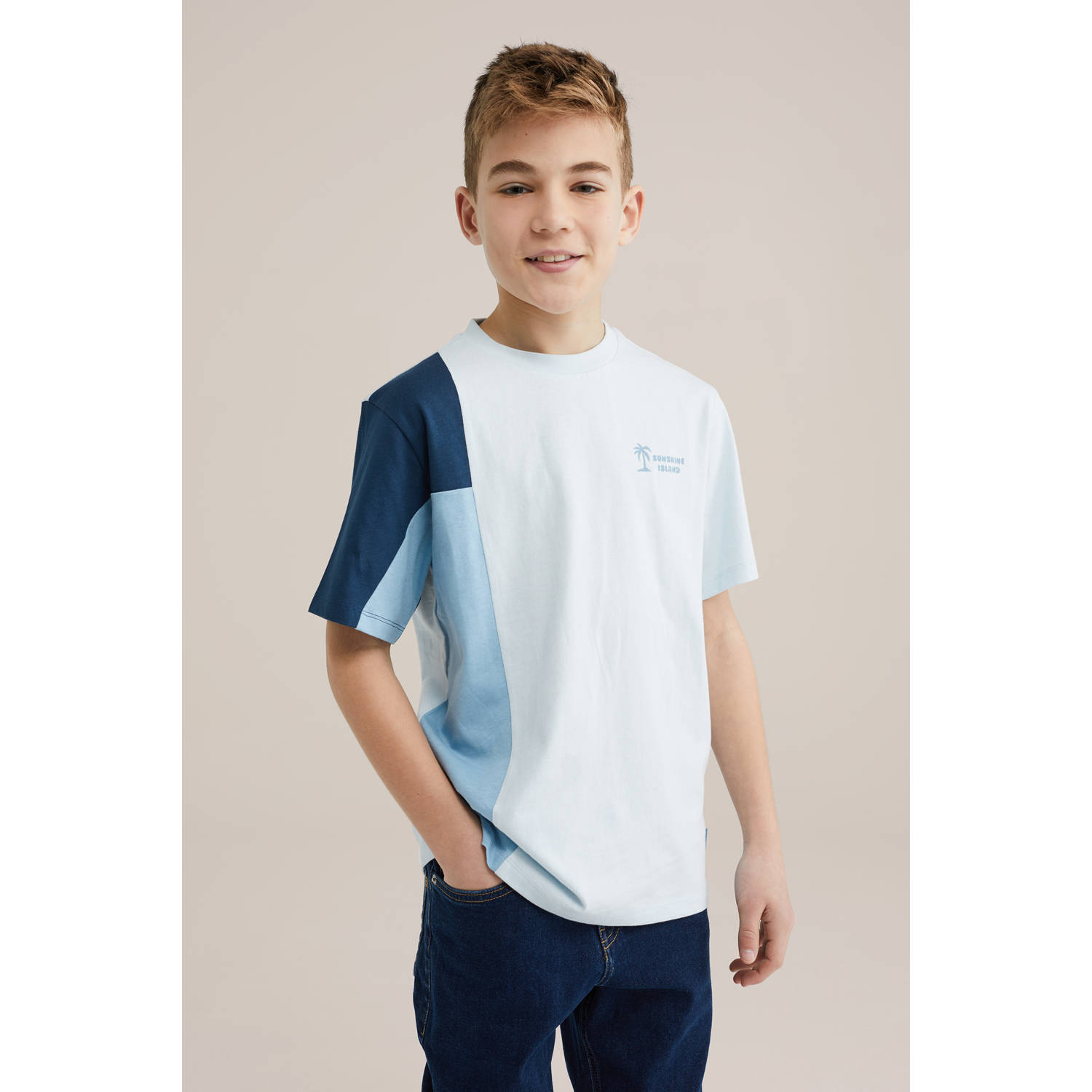 WE Fashion Blue Ridge T-shirt lichtblauw