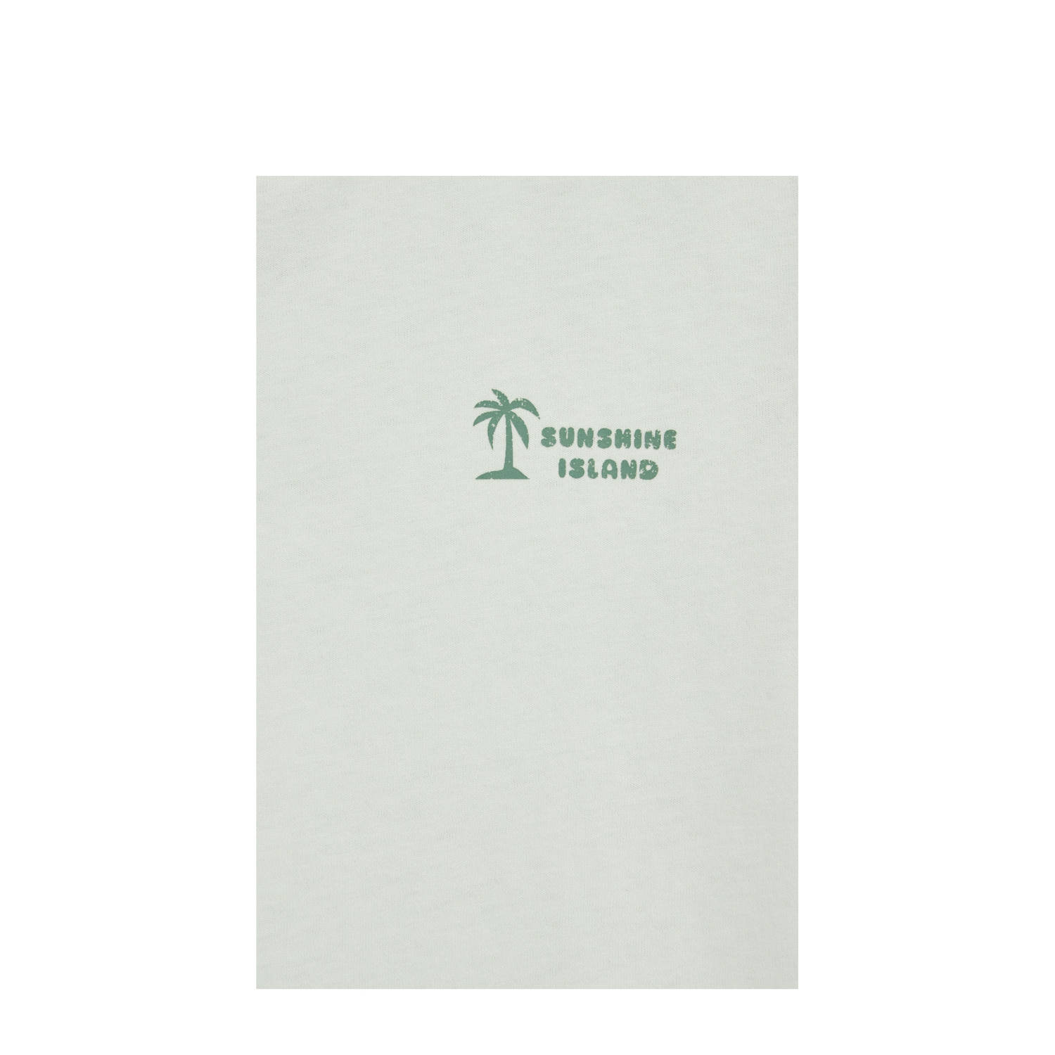 WE Fashion Blue Ridge T-shirt mintgroen