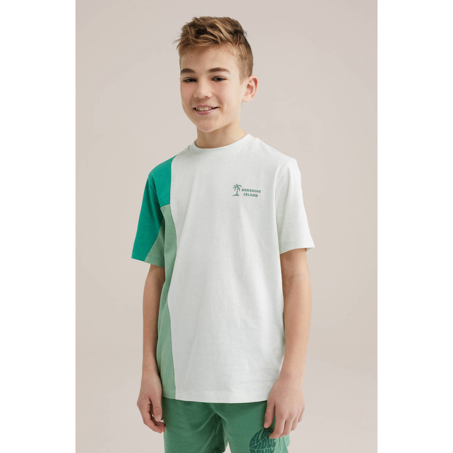 WE Fashion Blue Ridge T-shirt mintgroen