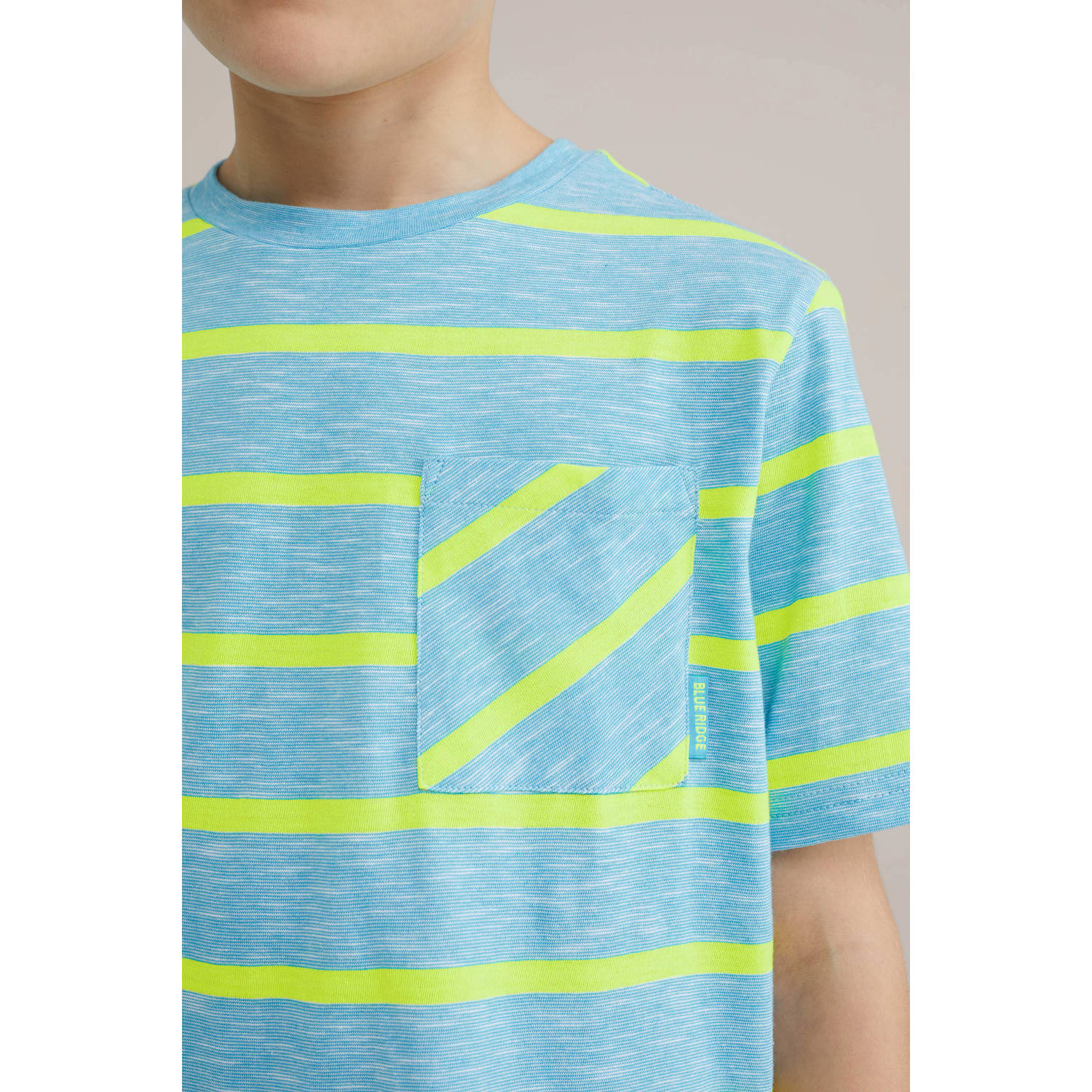 WE Fashion Blue Ridge T-shirt lichtblauw