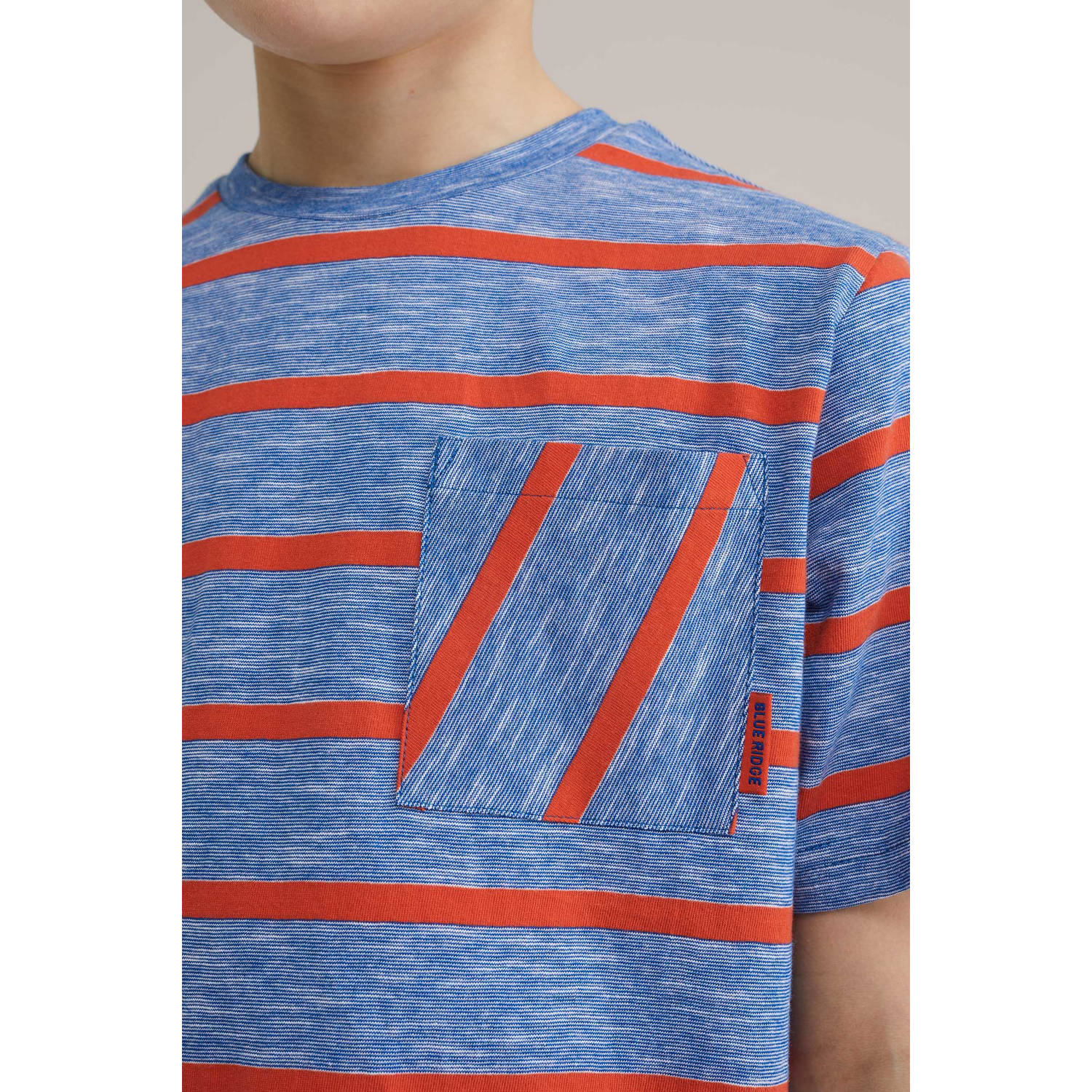 WE Fashion Blue Ridge T-shirt donkerblauw