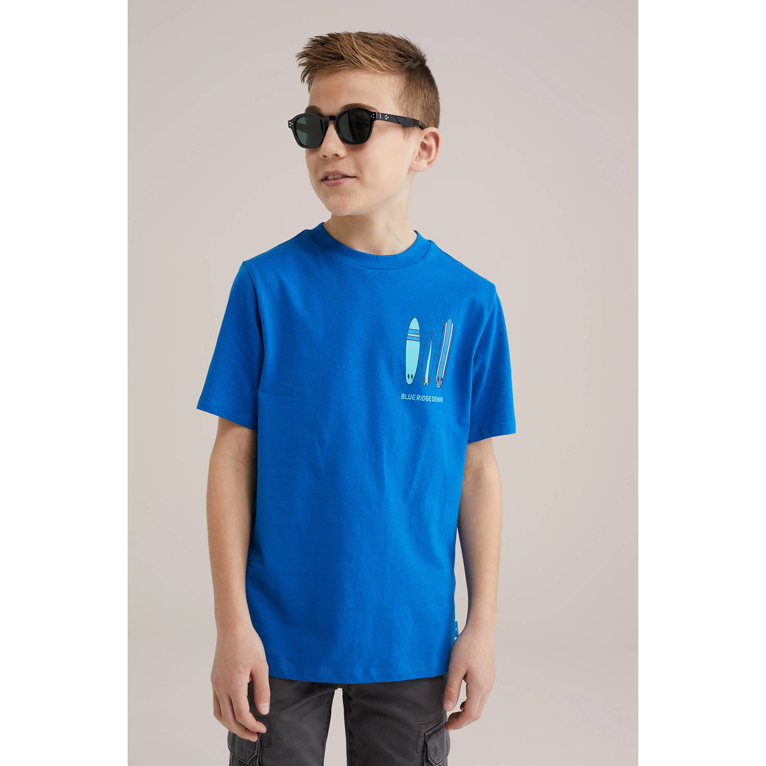 WE Fashion Blue Ridge T-shirt blauw