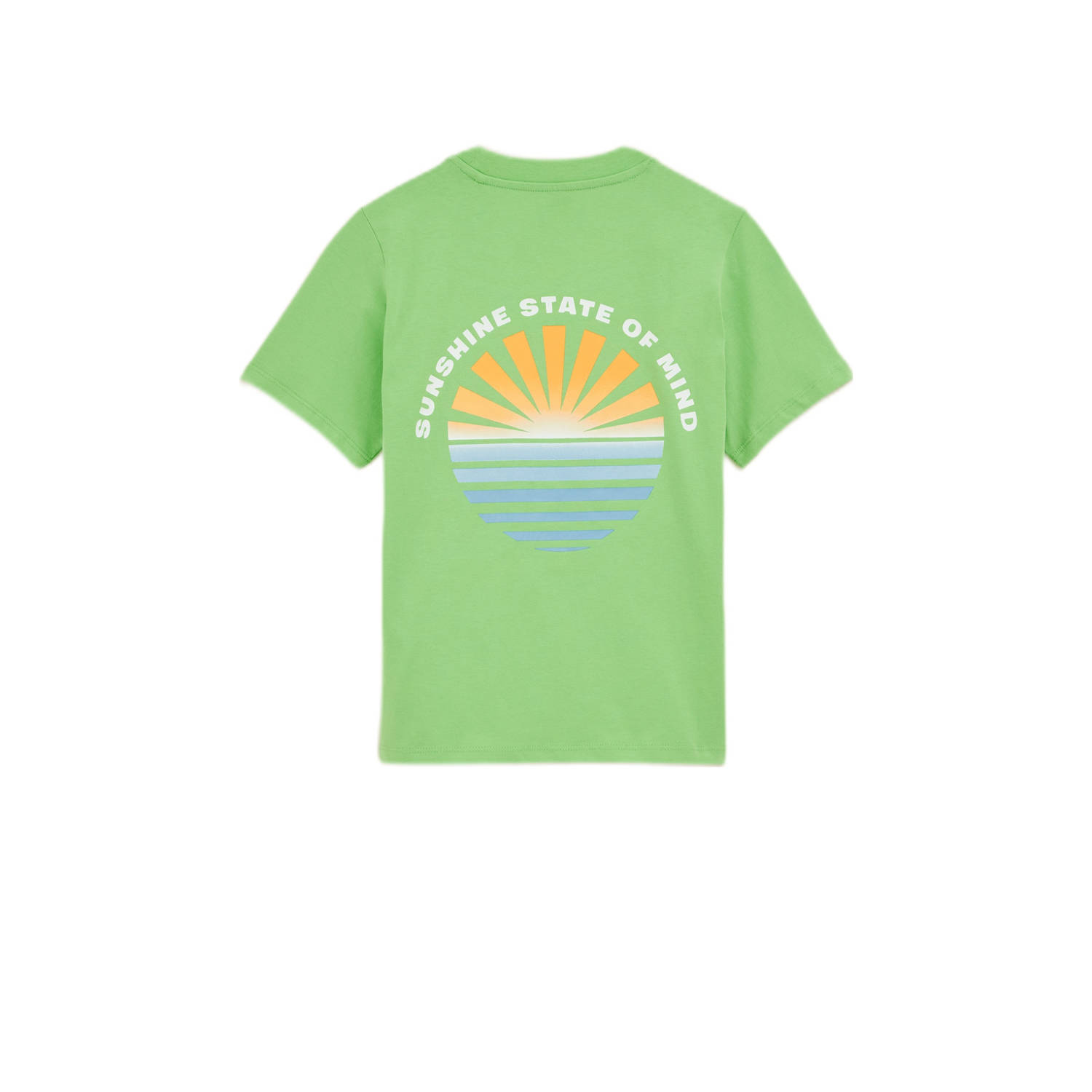 WE Fashion Blue Ridge T-shirt limegroen
