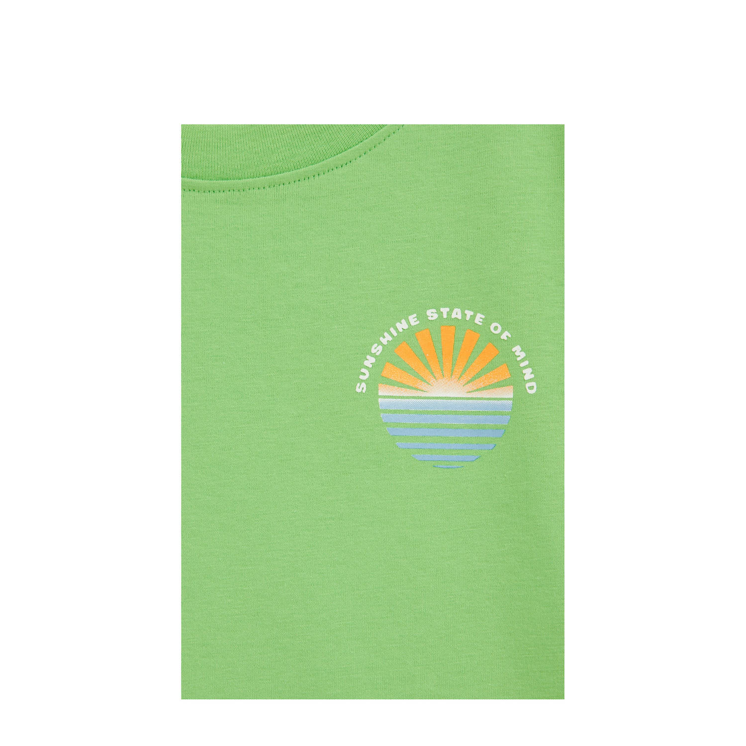 WE Fashion Blue Ridge T-shirt limegroen