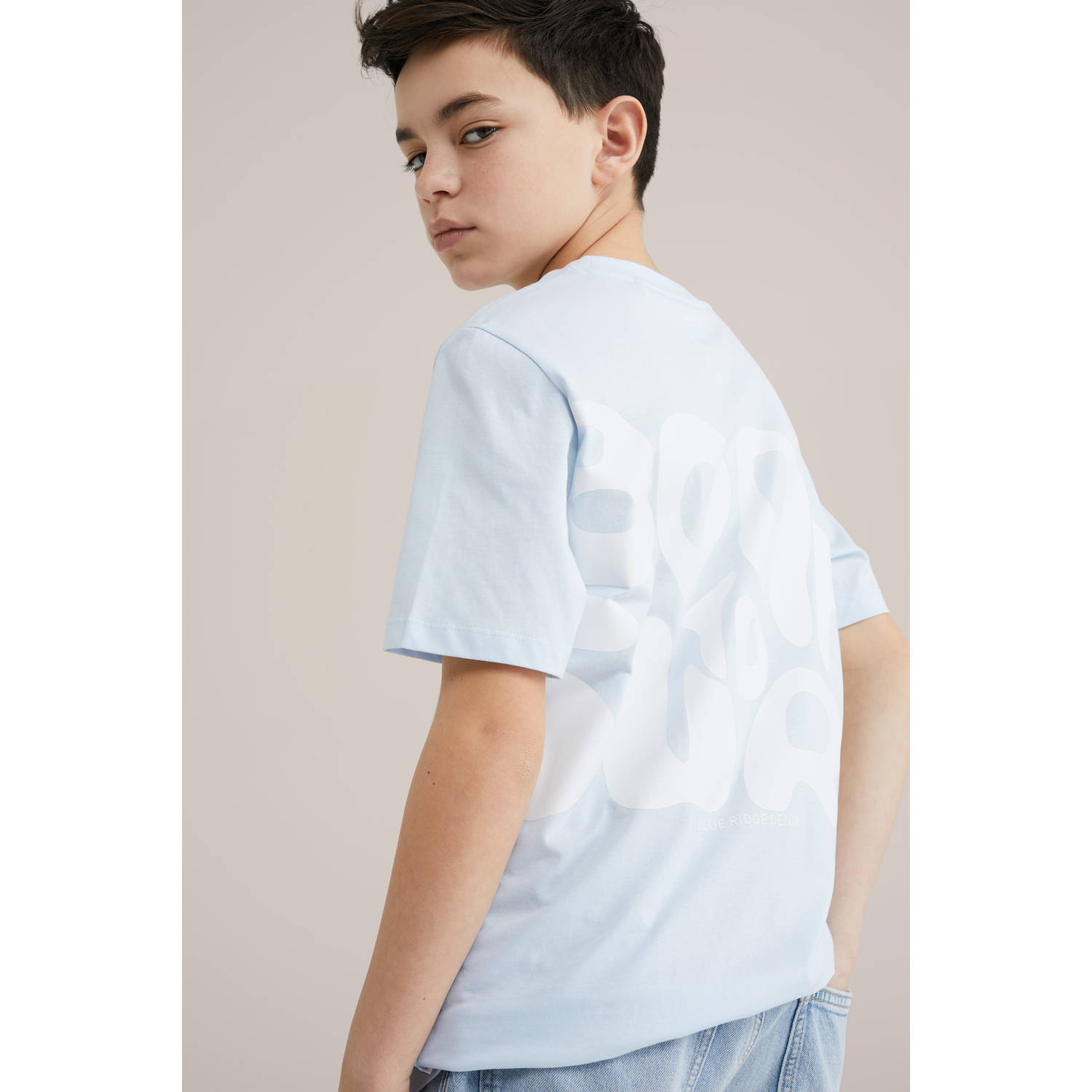 WE Fashion Blue Ridge T-shirt lichtblauw