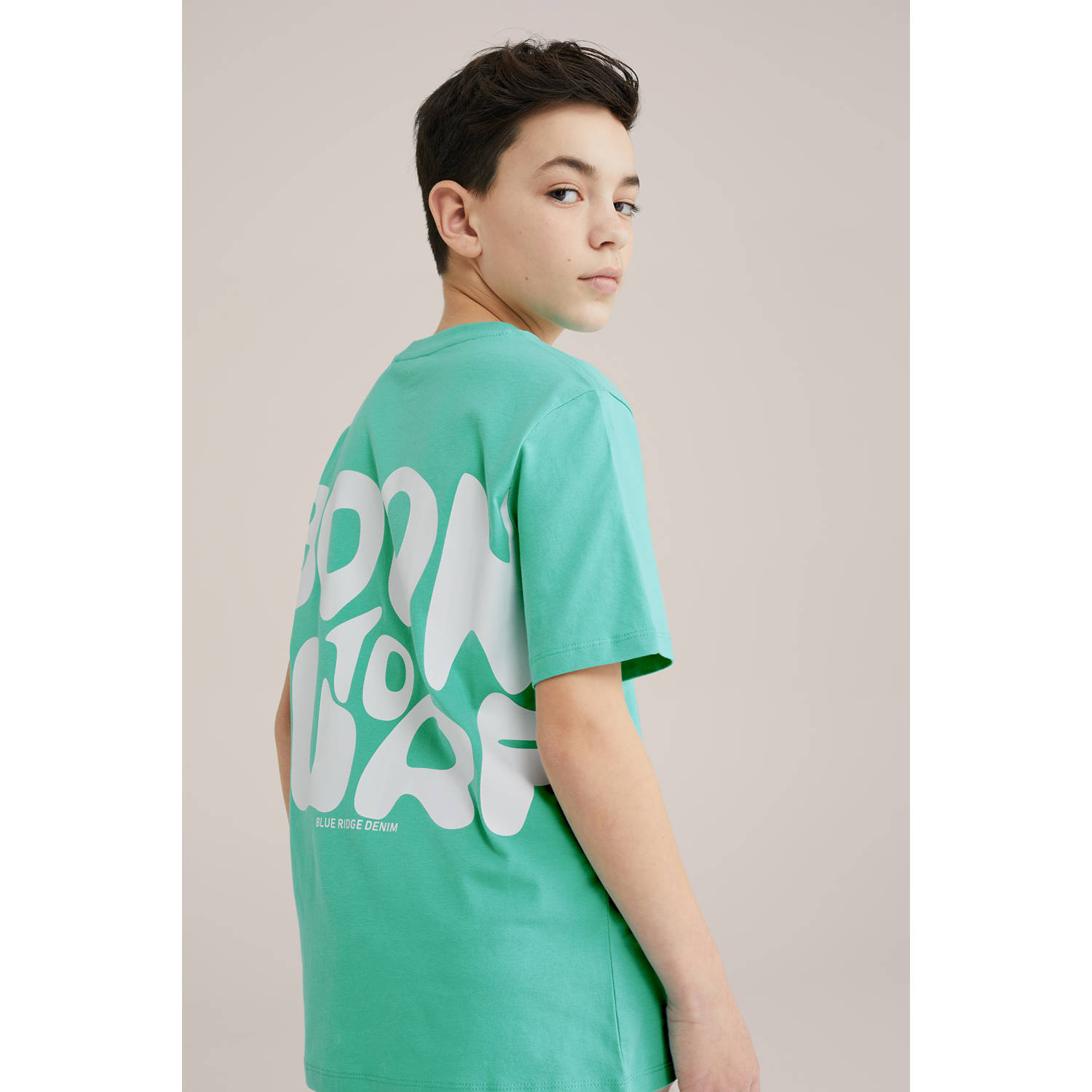 WE Fashion Blue Ridge T-shirt turquoise