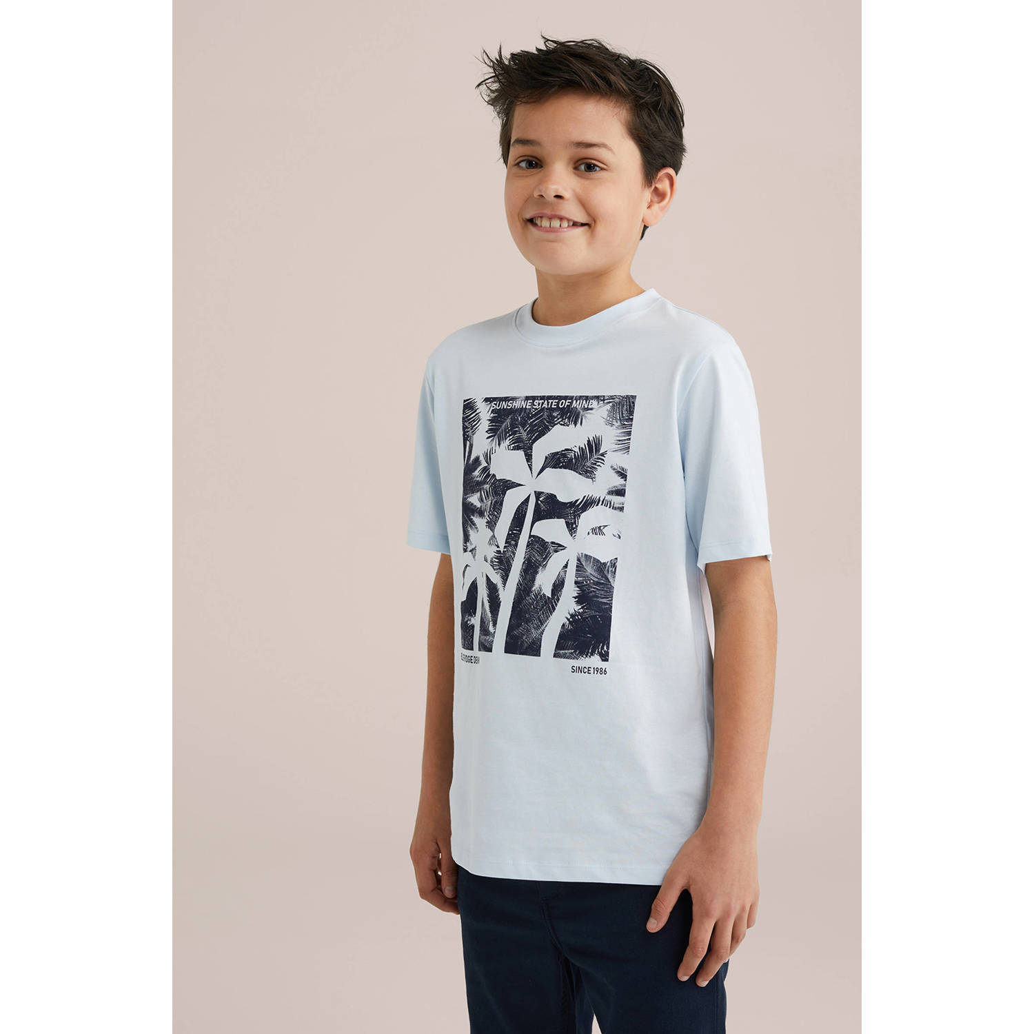 WE Fashion Blue Ridge T-shirt mintgroen