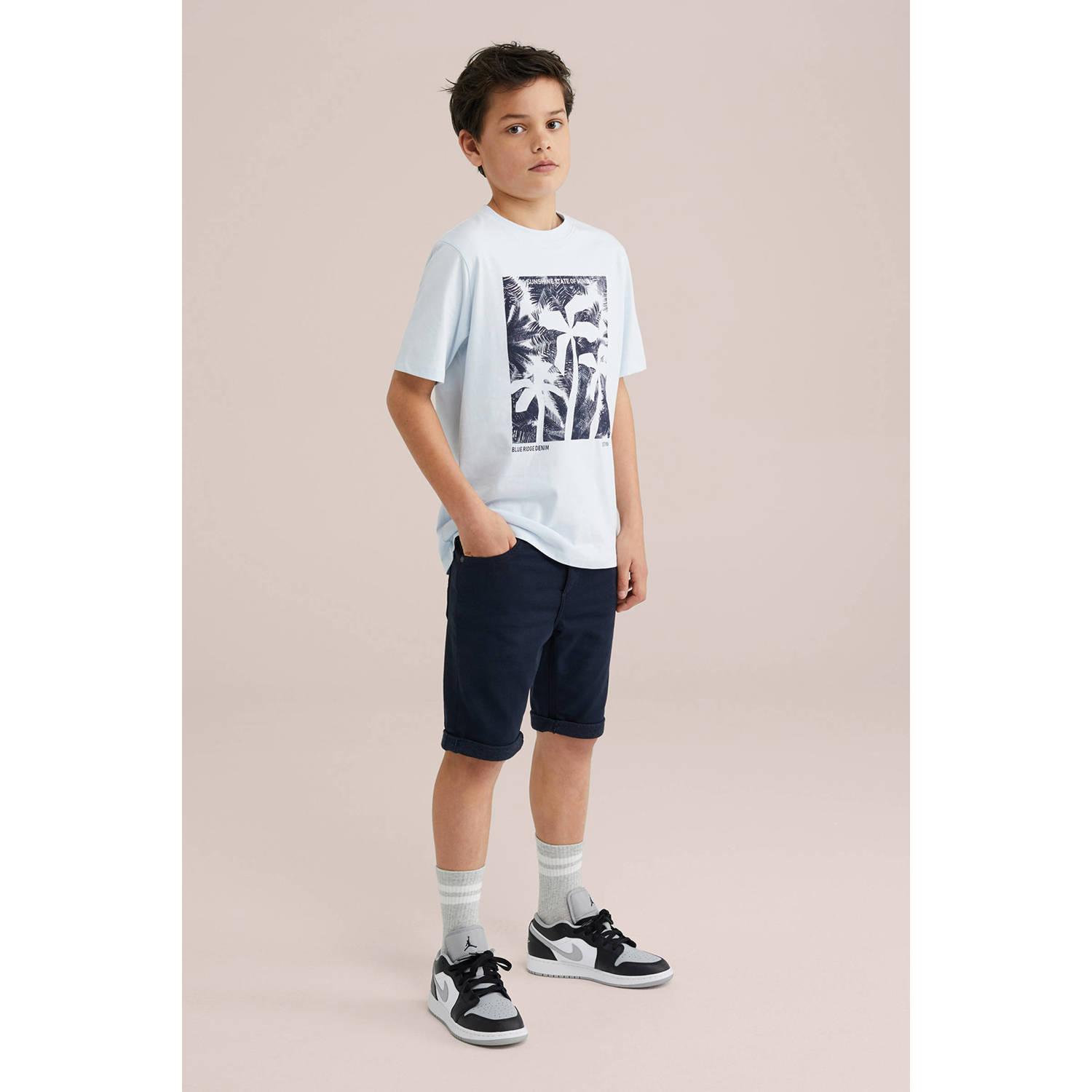 WE Fashion Blue Ridge T-shirt mintgroen