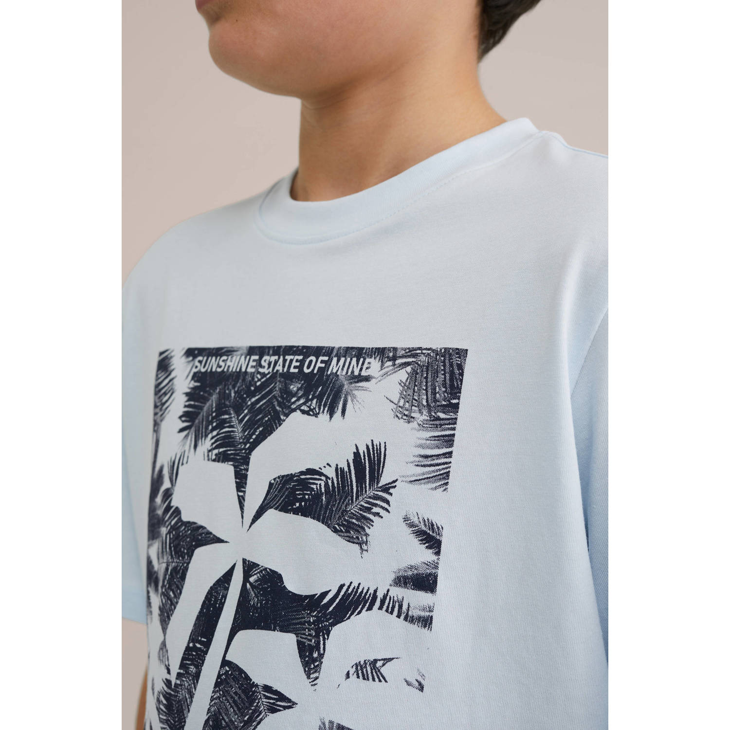 WE Fashion Blue Ridge T-shirt mintgroen