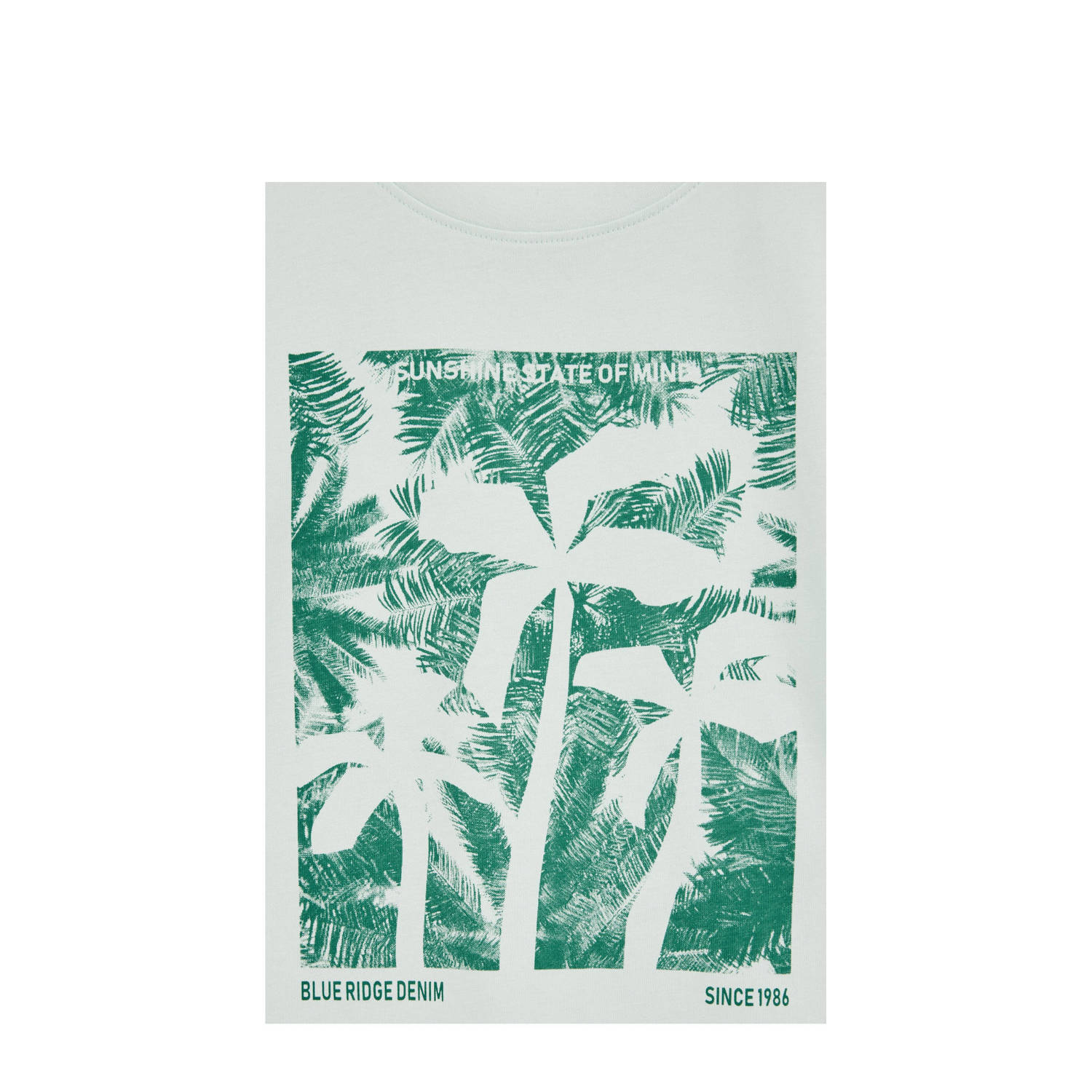 WE Fashion Blue Ridge T-shirt mintgroen