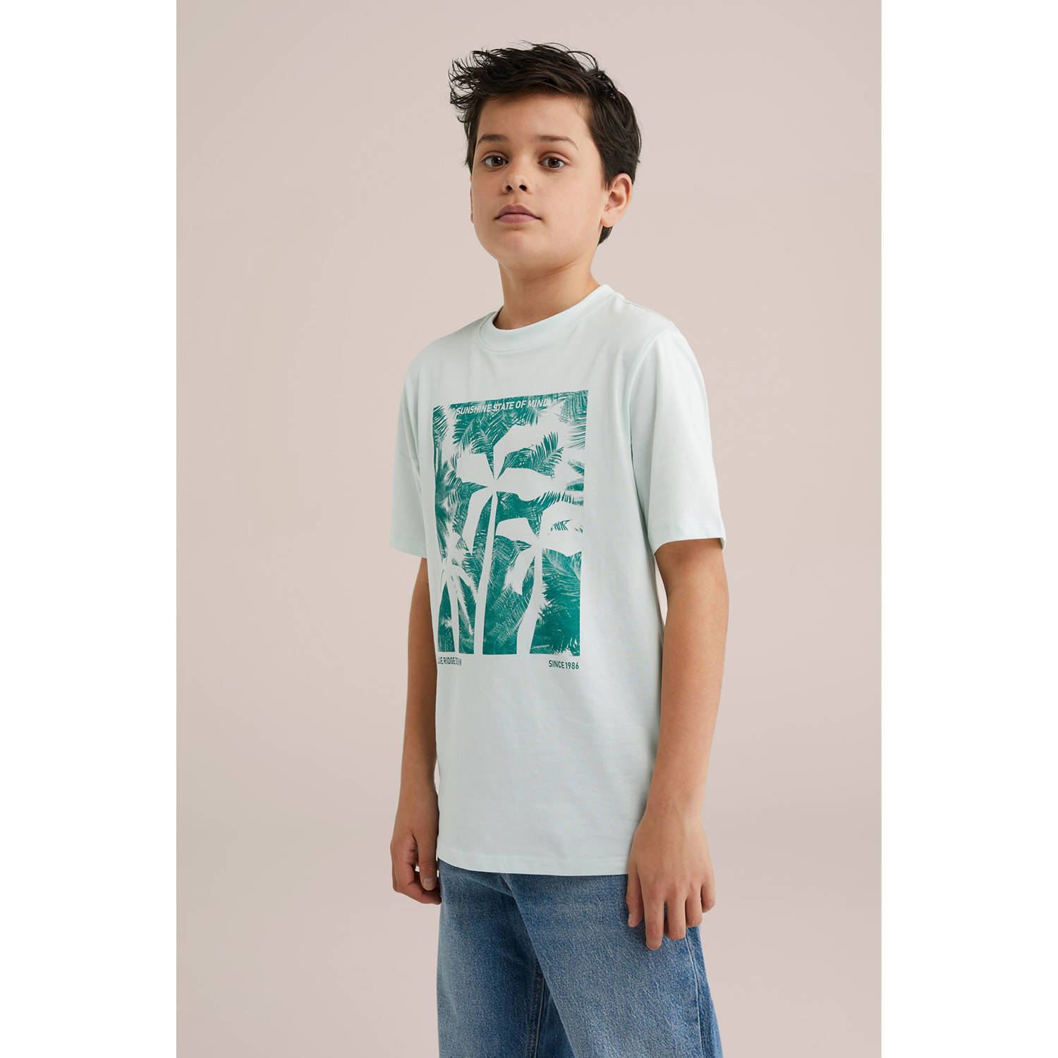 WE Fashion Blue Ridge T-shirt mintgroen