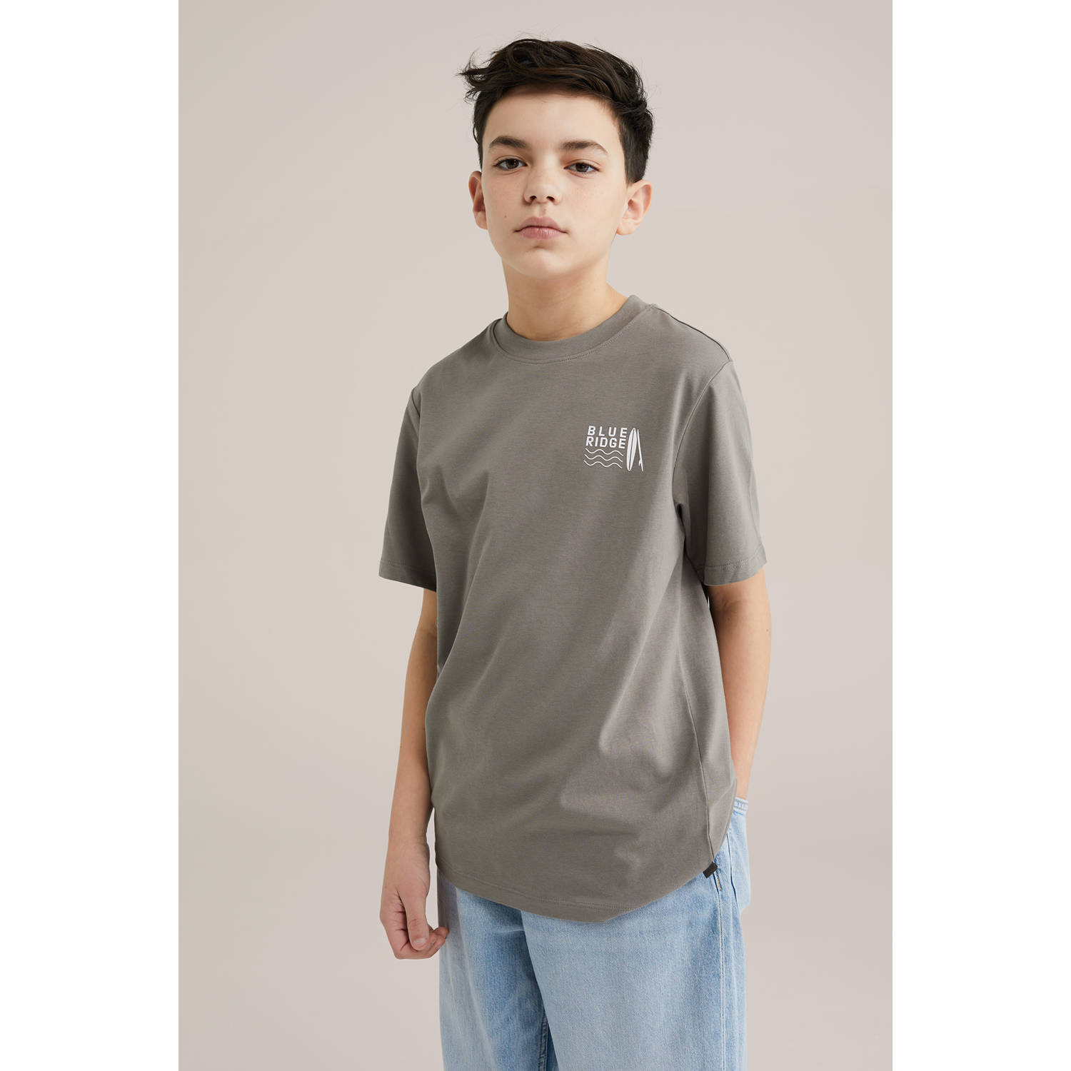 WE Fashion Blue Ridge T-shirt lichtbruin
