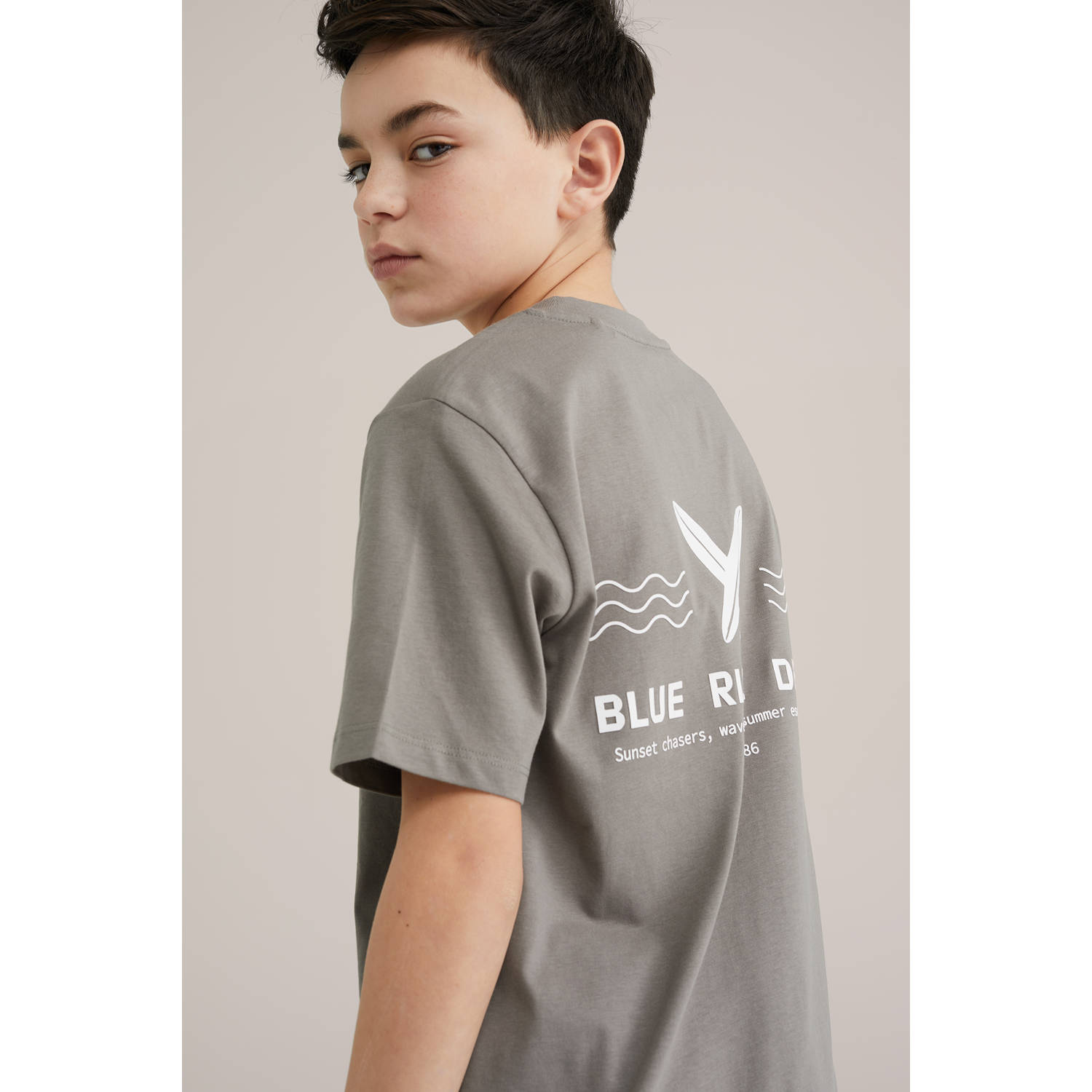 WE Fashion Blue Ridge T-shirt lichtbruin