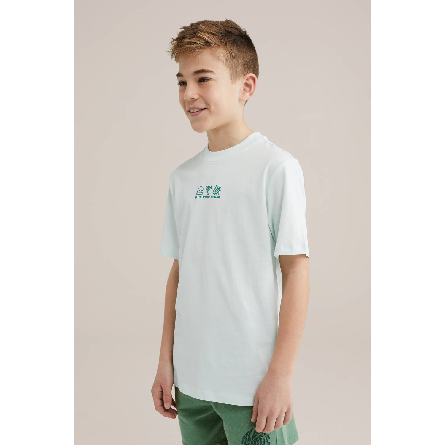 WE Fashion Blue Ridge T-shirt mintgroen