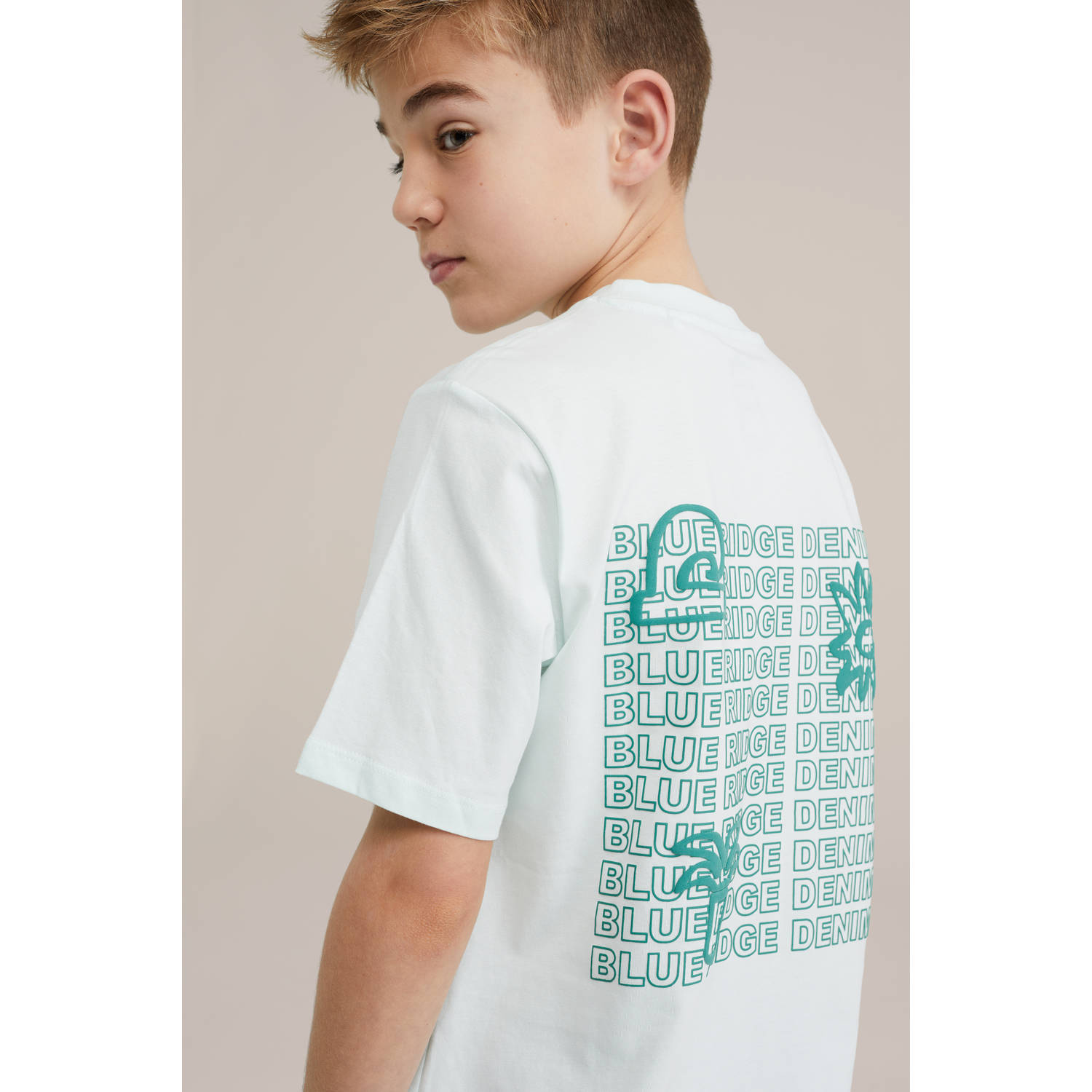 WE Fashion Blue Ridge T-shirt mintgroen