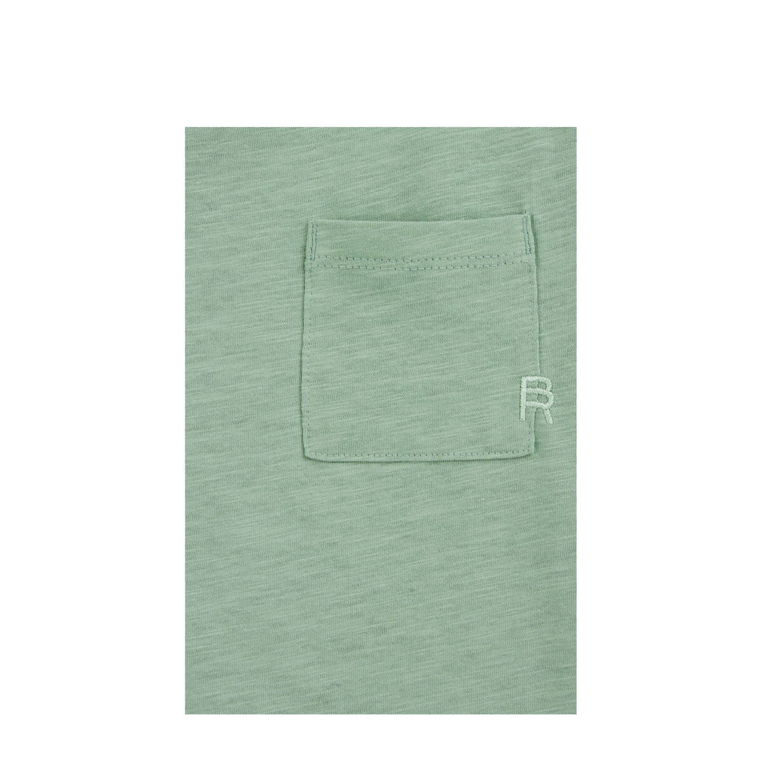WE Fashion Blue Ridge T-shirt lichtgroen