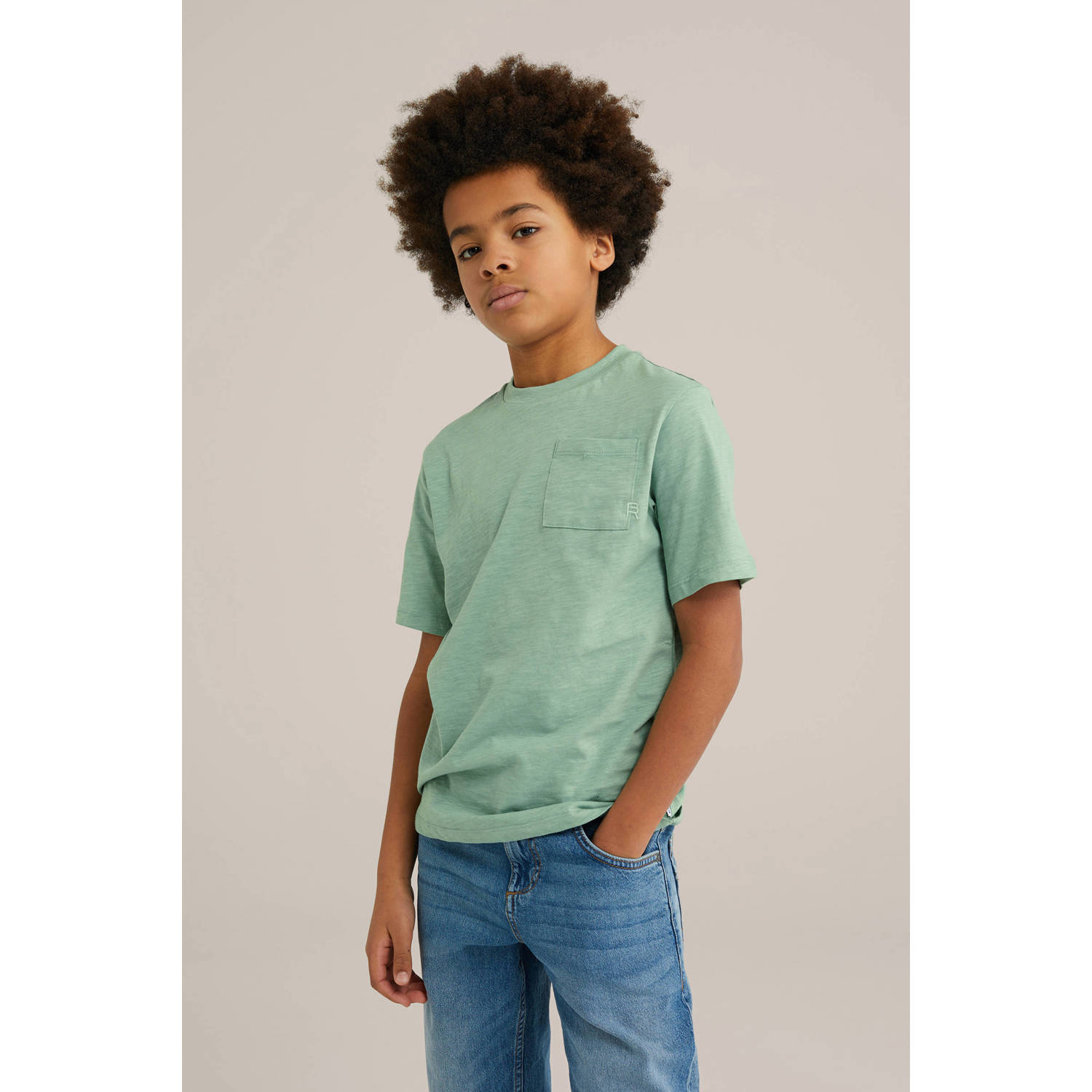 WE Fashion Blue Ridge T-shirt lichtgroen