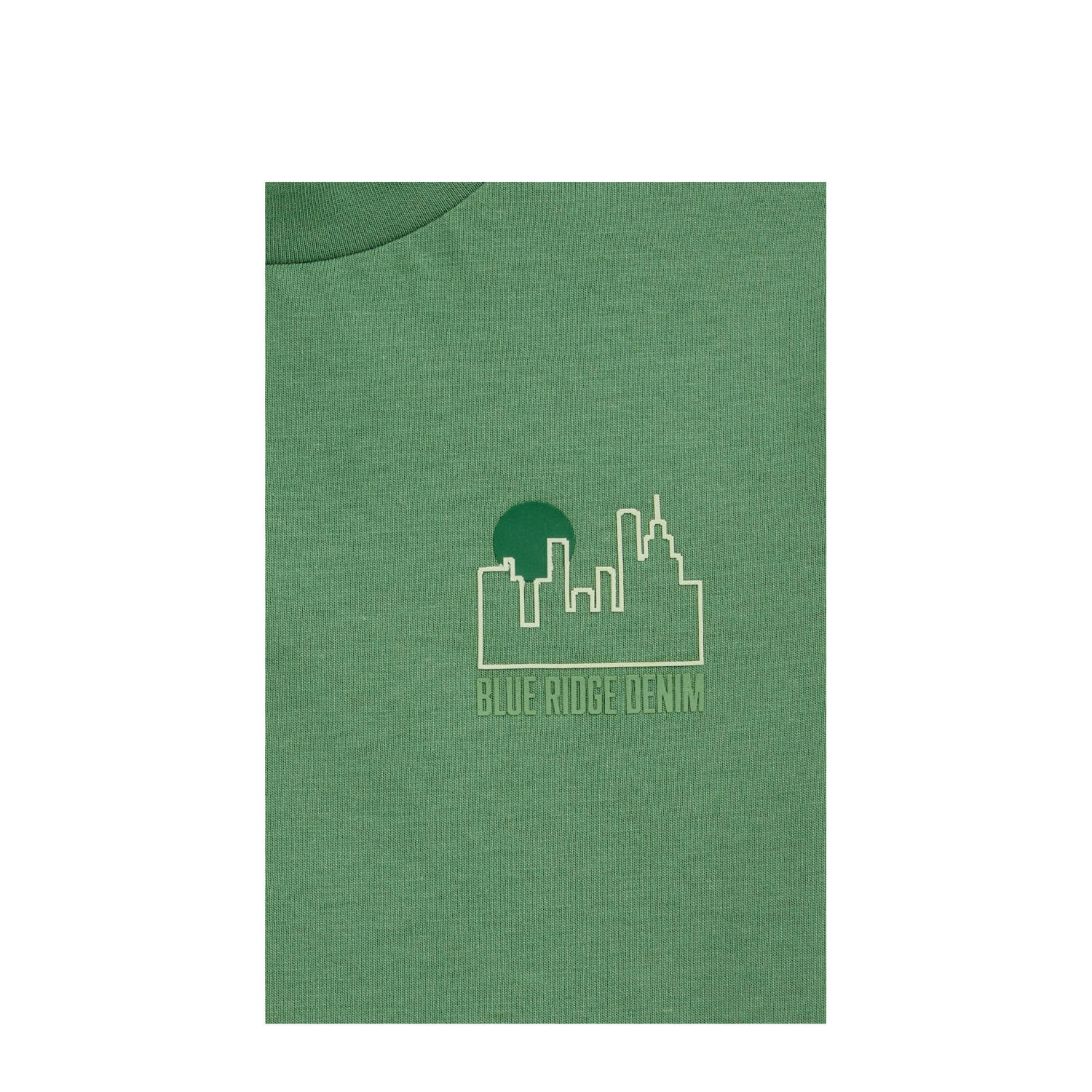 WE Fashion Blue Ridge T-shirt groen