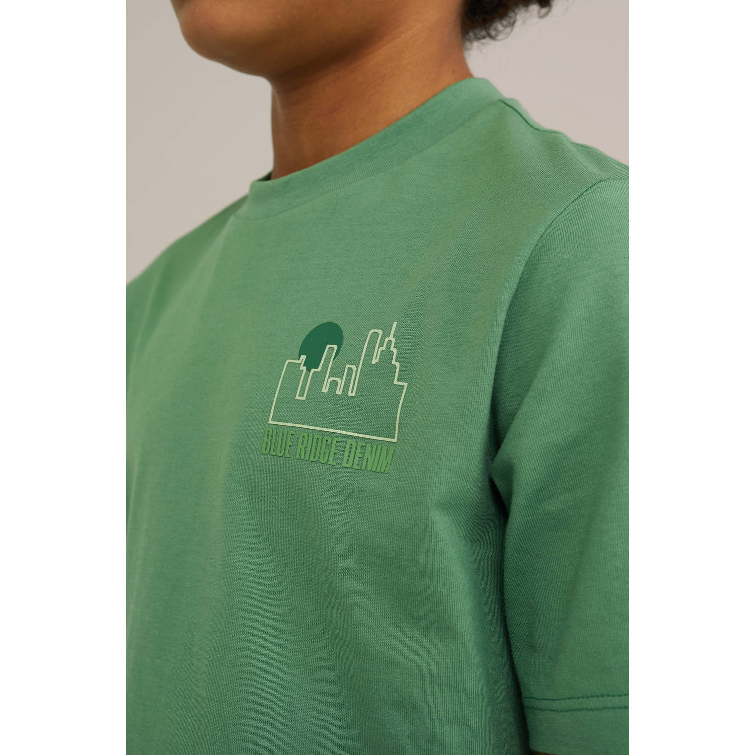 WE Fashion Blue Ridge T-shirt groen