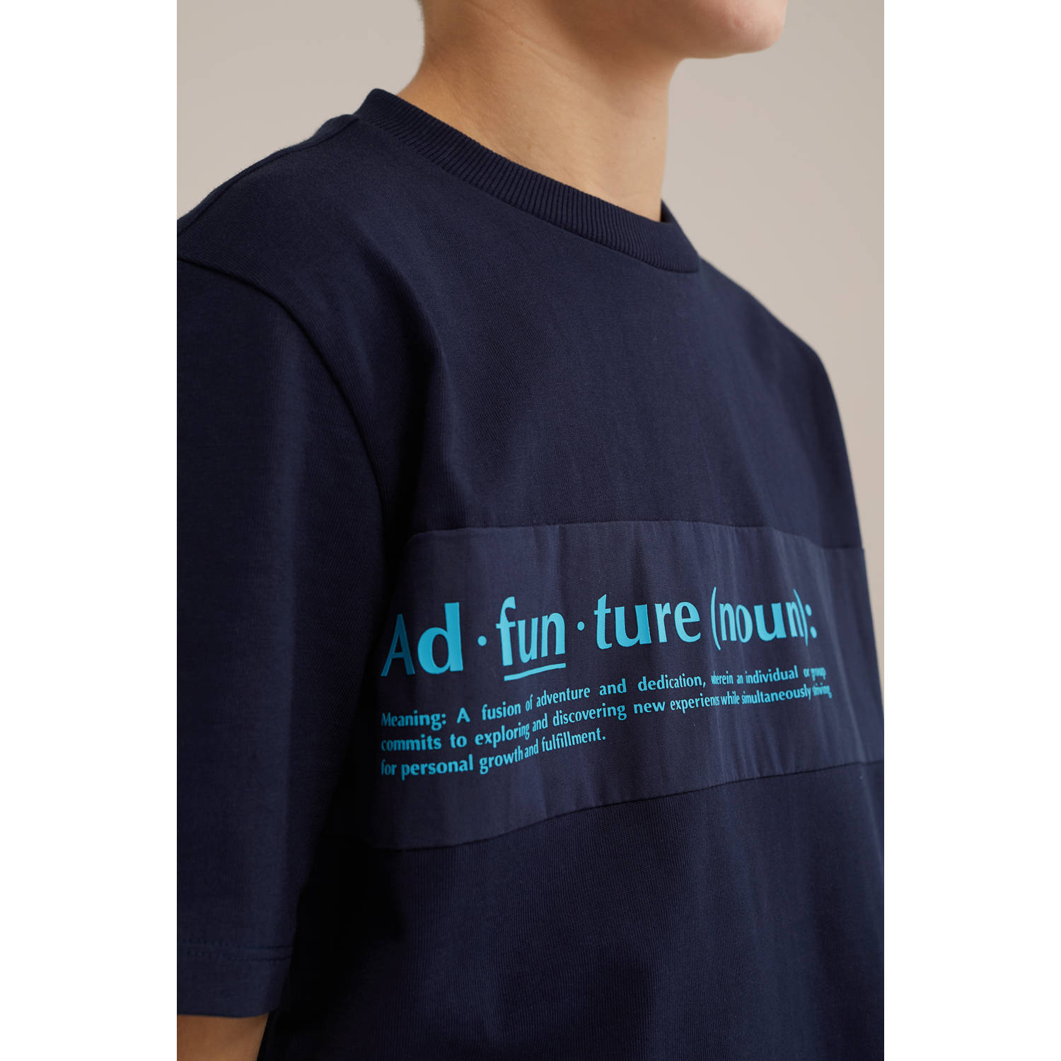 WE Fashion Blue Ridge T-shirt blauw