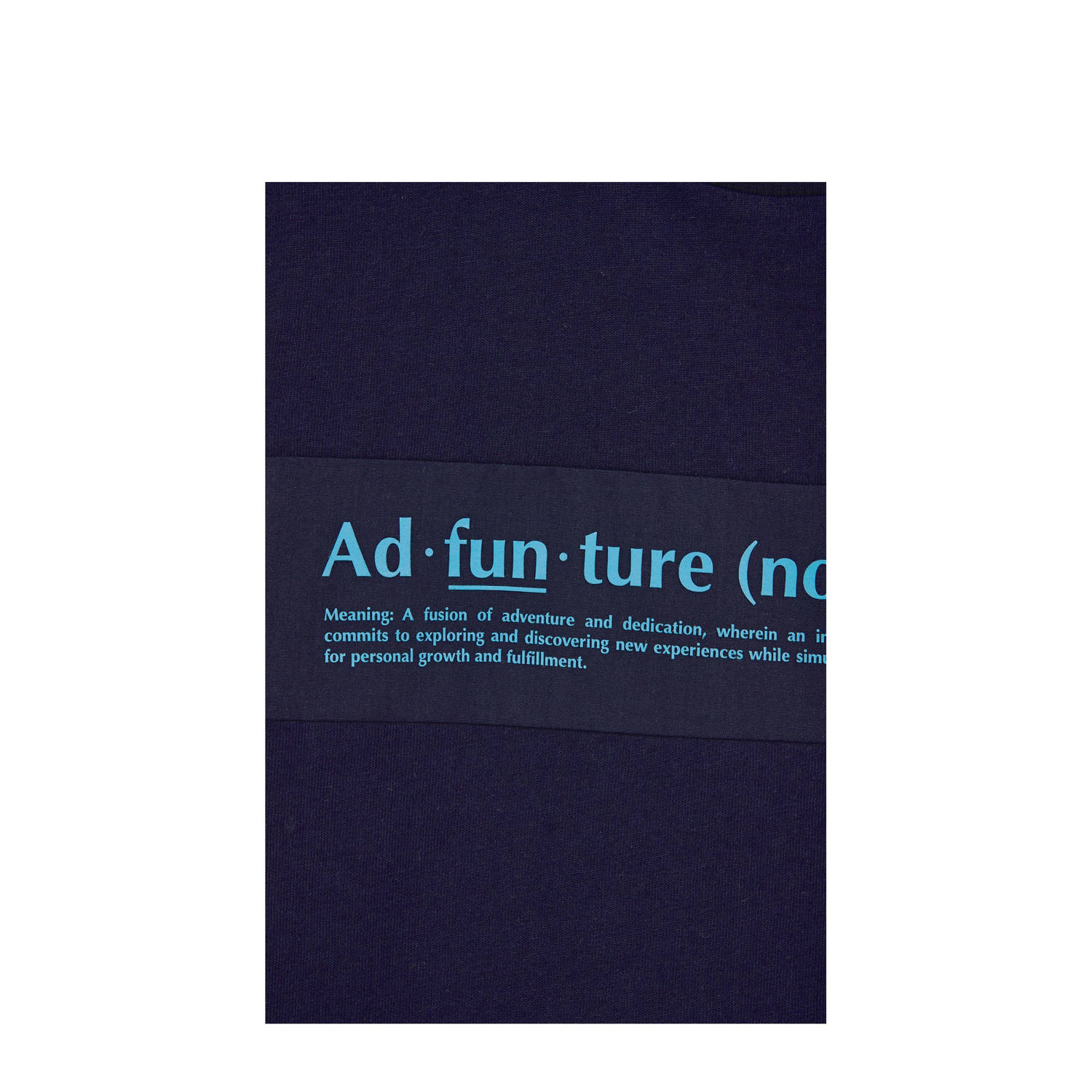 WE Fashion Blue Ridge T-shirt blauw