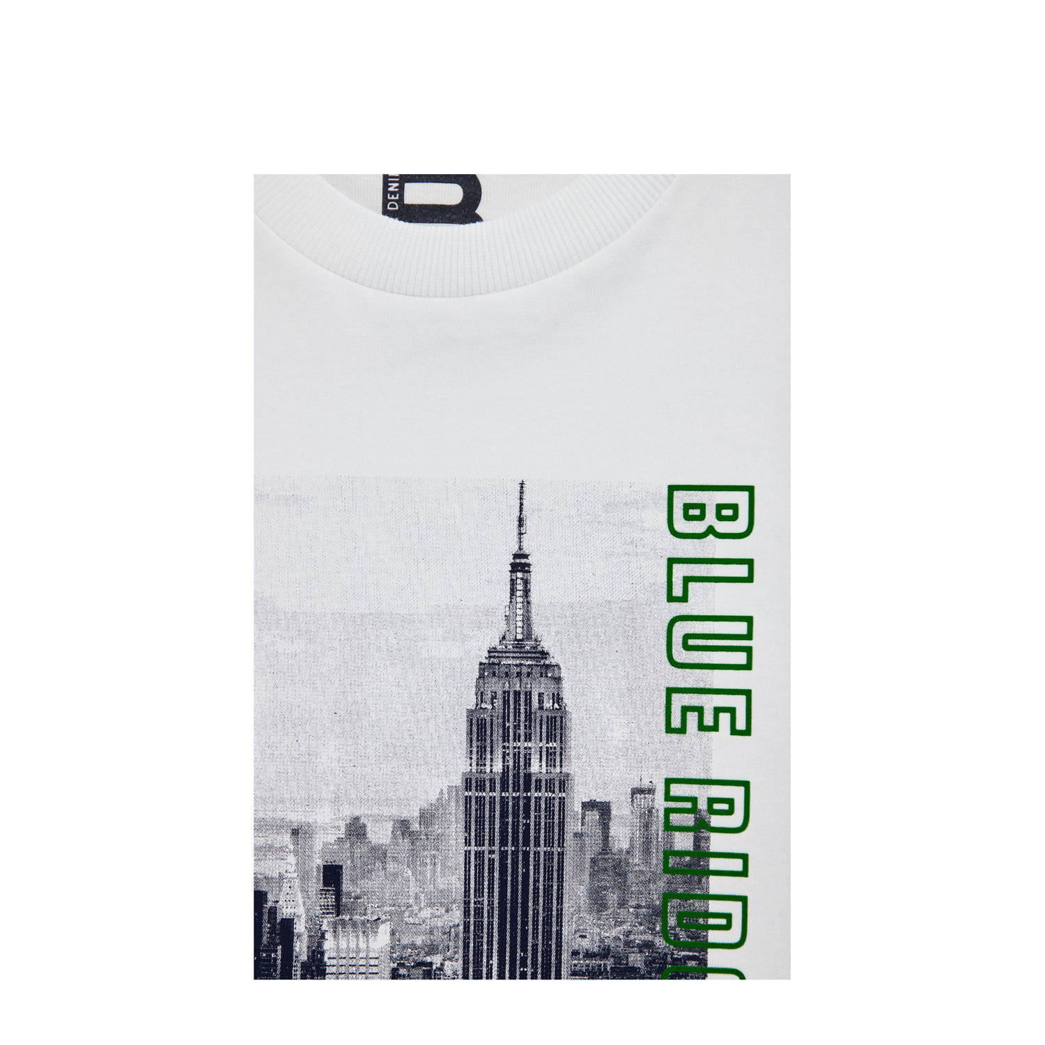 WE Fashion Blue Ridge T-shirt wit