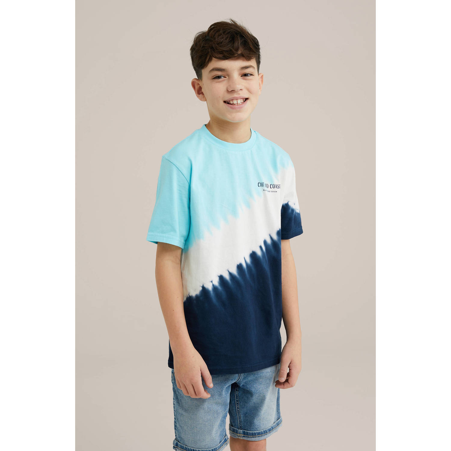 WE Fashion Blue Ridge t-shirt lichtblauw wit donkerblauw
