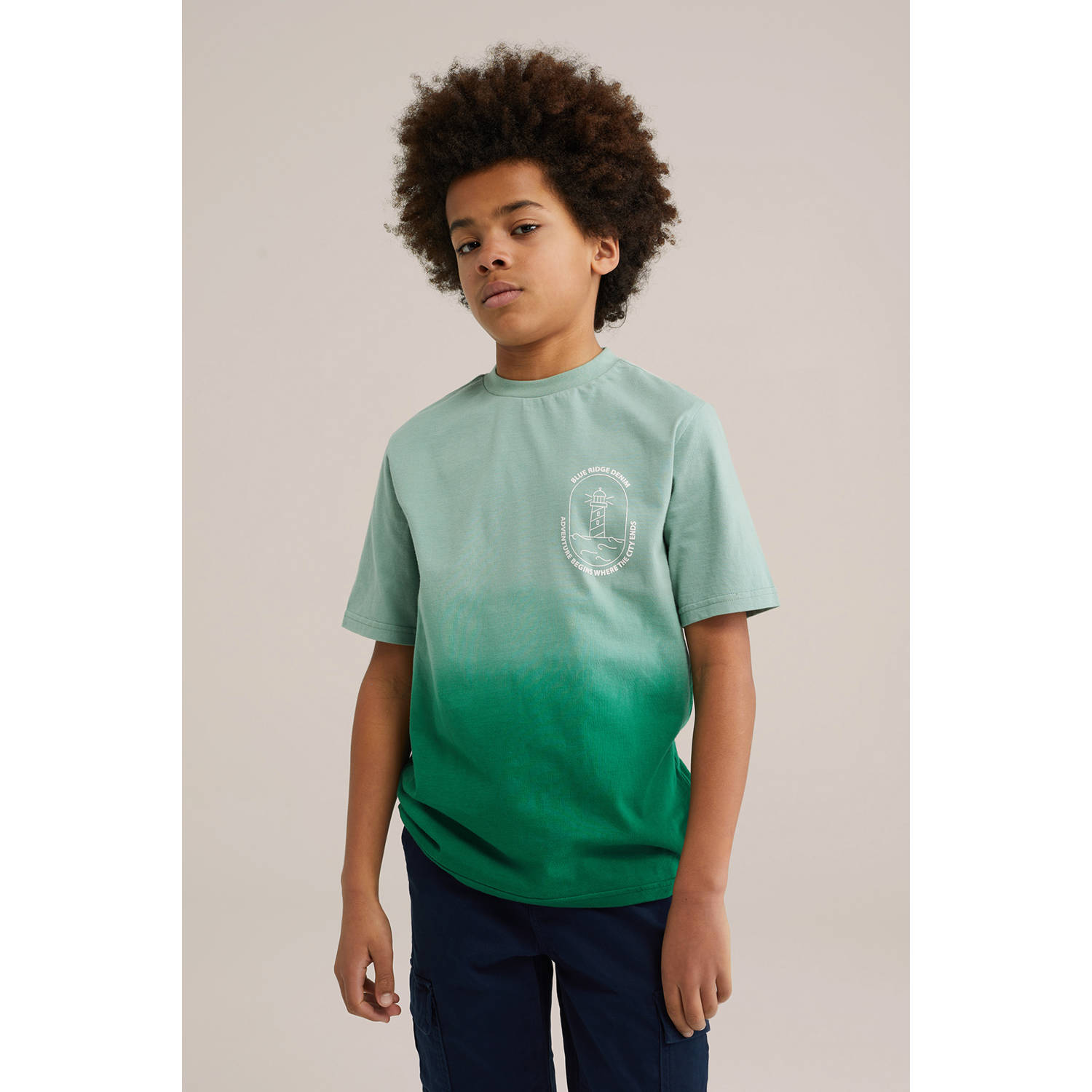 WE Fashion Blue Ridge T-shirt groen