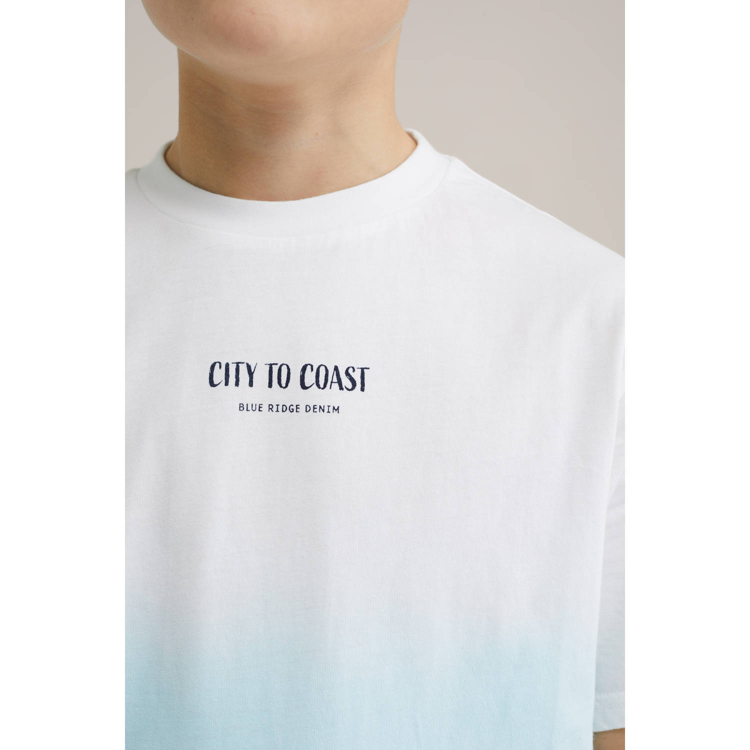 WE Fashion Blue Ridge T-shirt lichtblauw