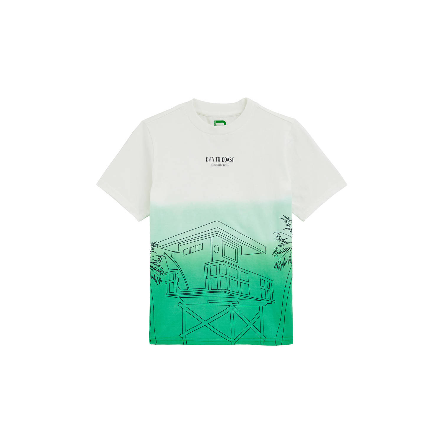 WE Fashion Blue Ridge T-shirt groen