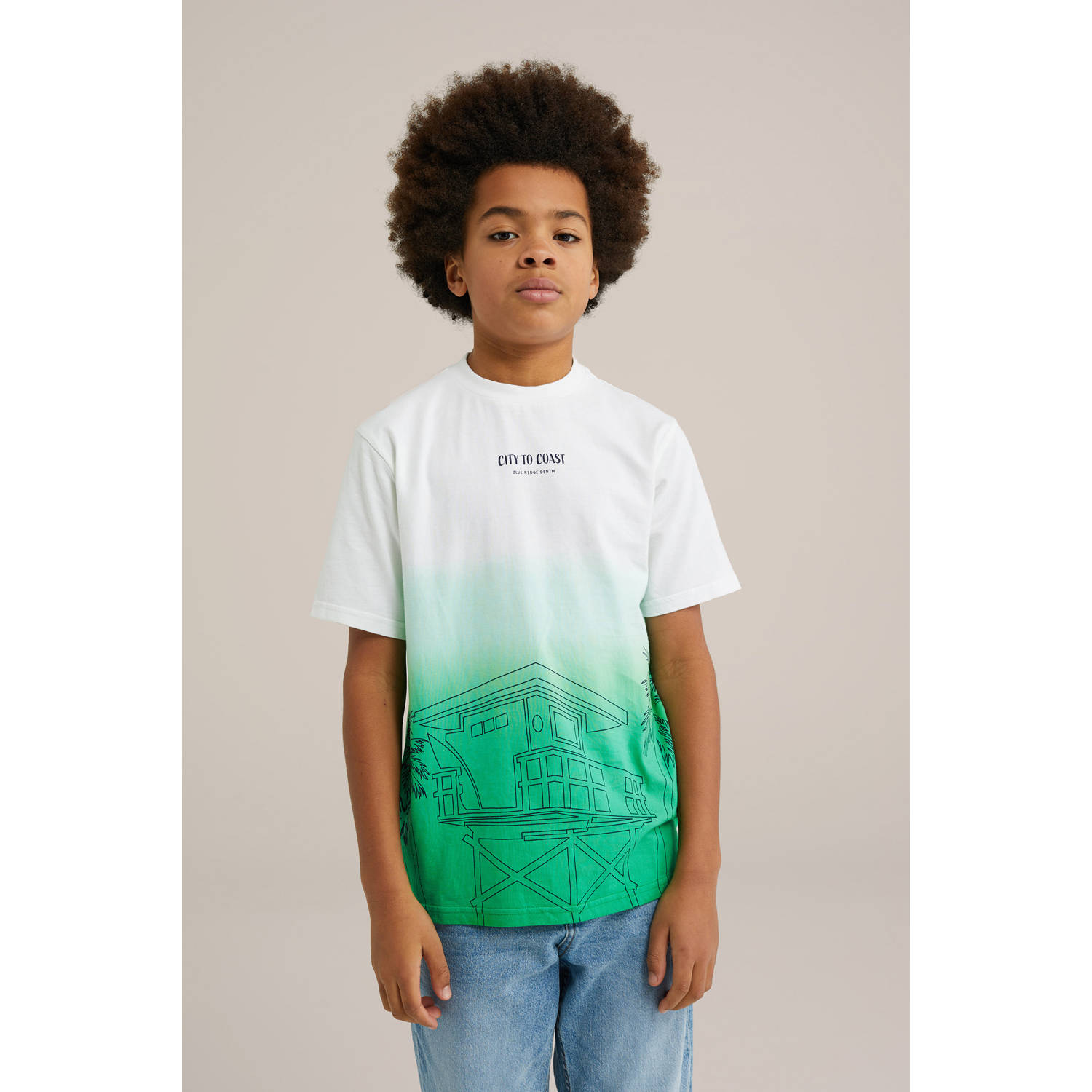 WE Fashion Blue Ridge T-shirt groen