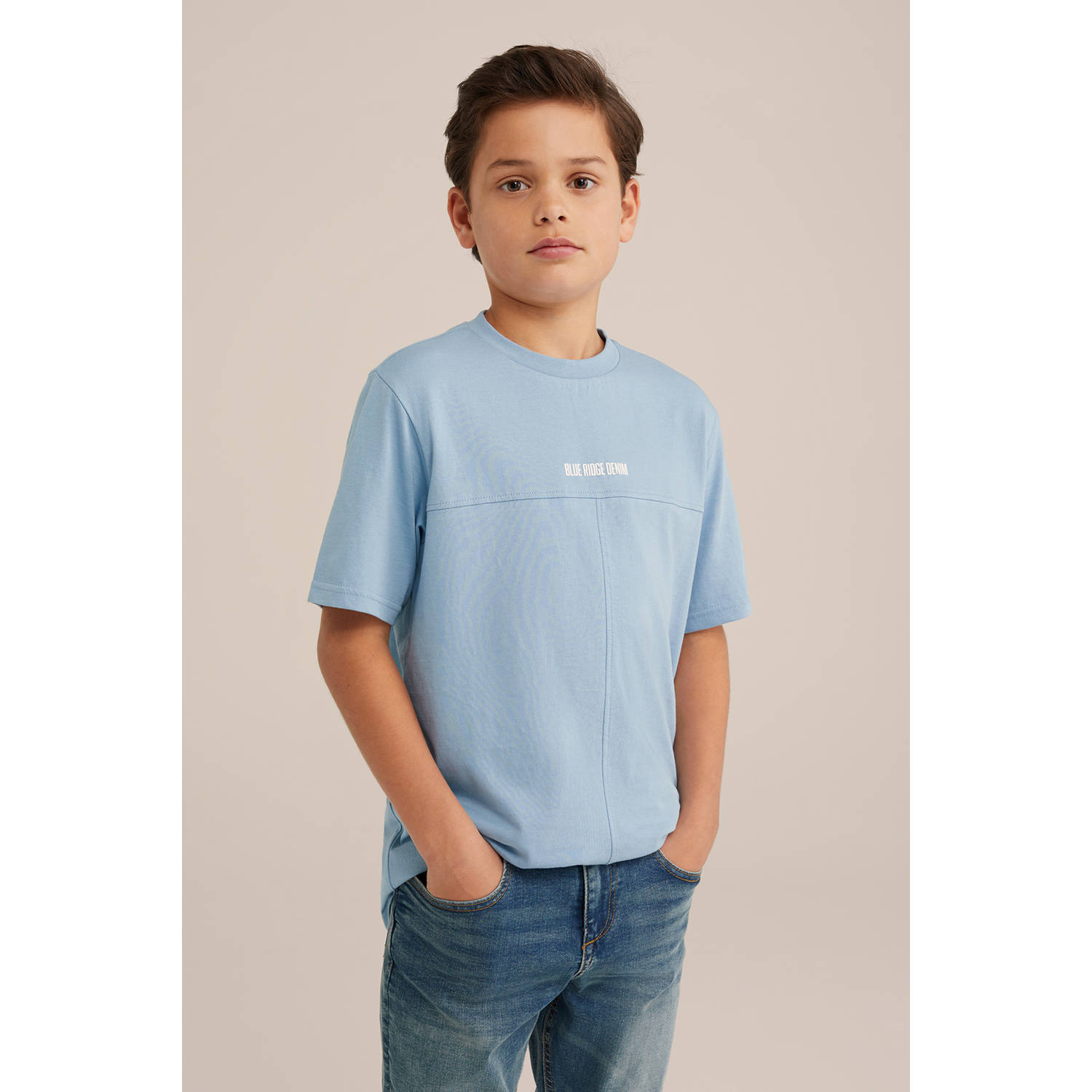 WE Fashion Blue Ridge T-shirt lichtblauw