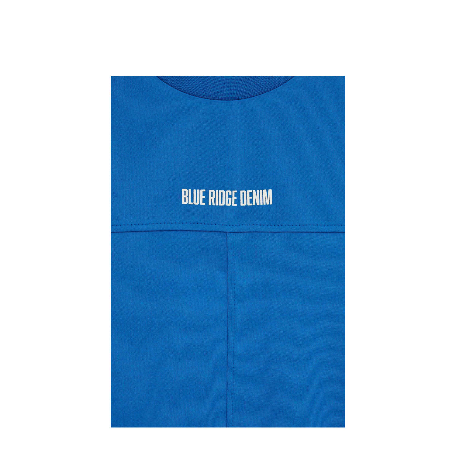 WE Fashion Blue Ridge T-shirt blauw