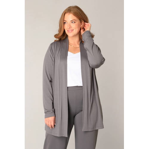 Base Level Curvy vest grijs fijn gebreid afbeelding