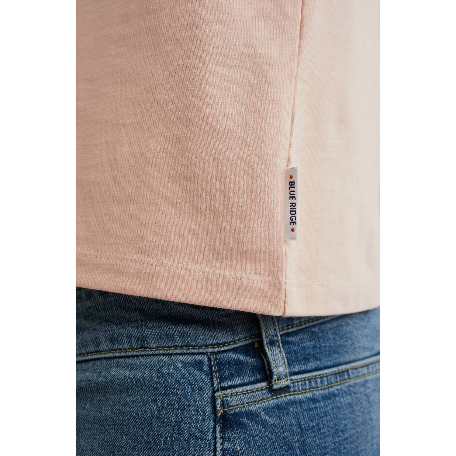 WE Fashion Blue Ridge T-shirt zalm