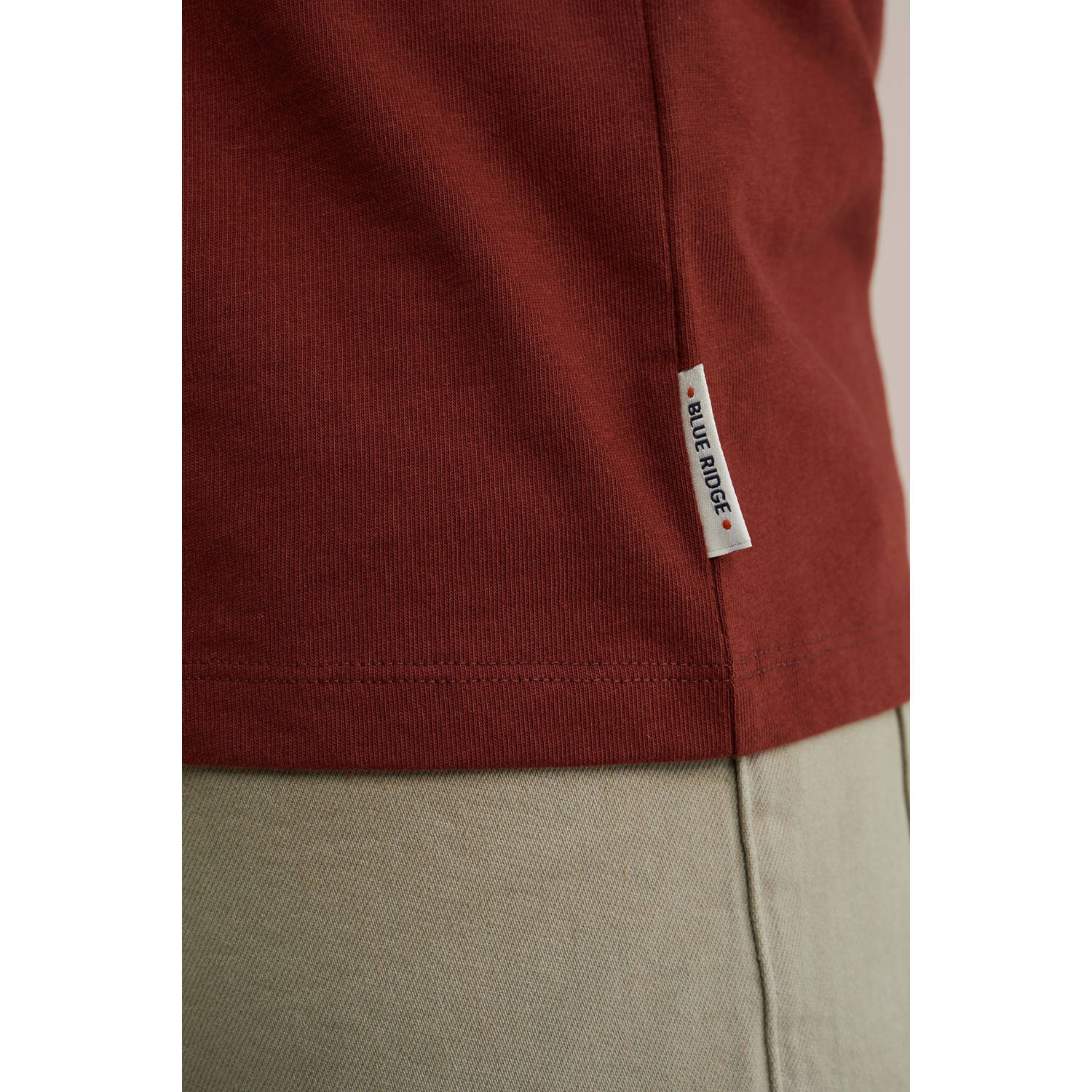 WE Fashion Blue Ridge T-shirt donkerrood