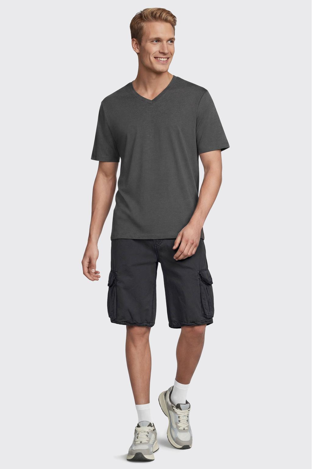 Grijze heren Anytime regular T-shirt van katoen met effen, korte mouwen en V-hals