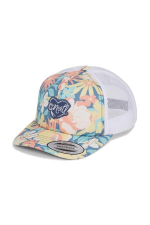 pet wit/multicolor