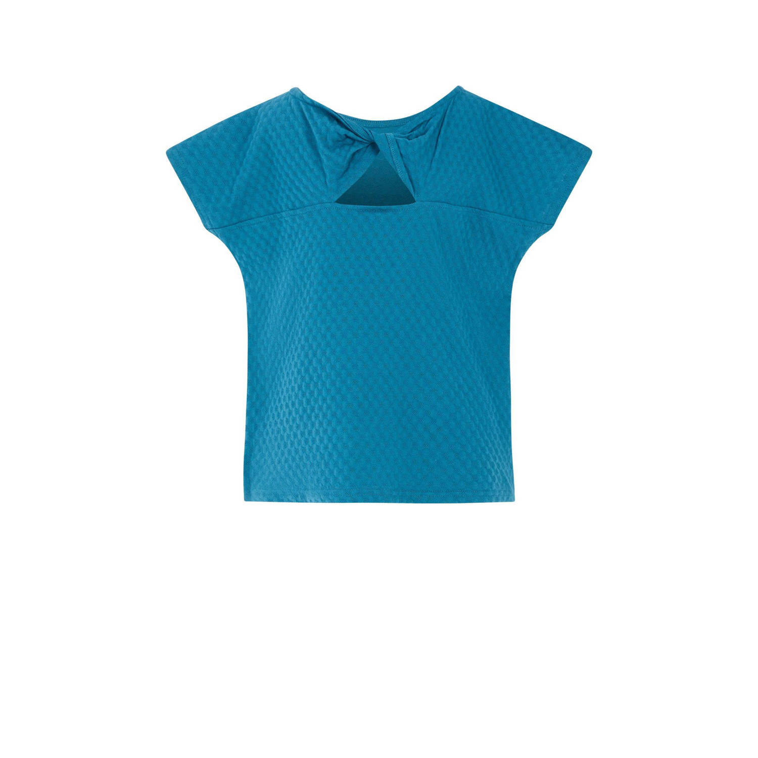 Protest T-shirt blauw